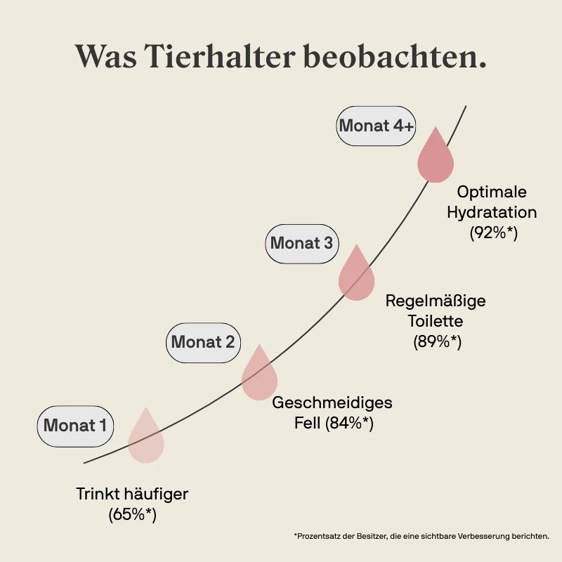 Grafik zeigt Beobachtungen von Tierhaltern über Monate: Trinkt häufiger (65%), geschmeidiges Fell (84%), regelmäßige Toilette (89%), optimale Hydratation (92%).