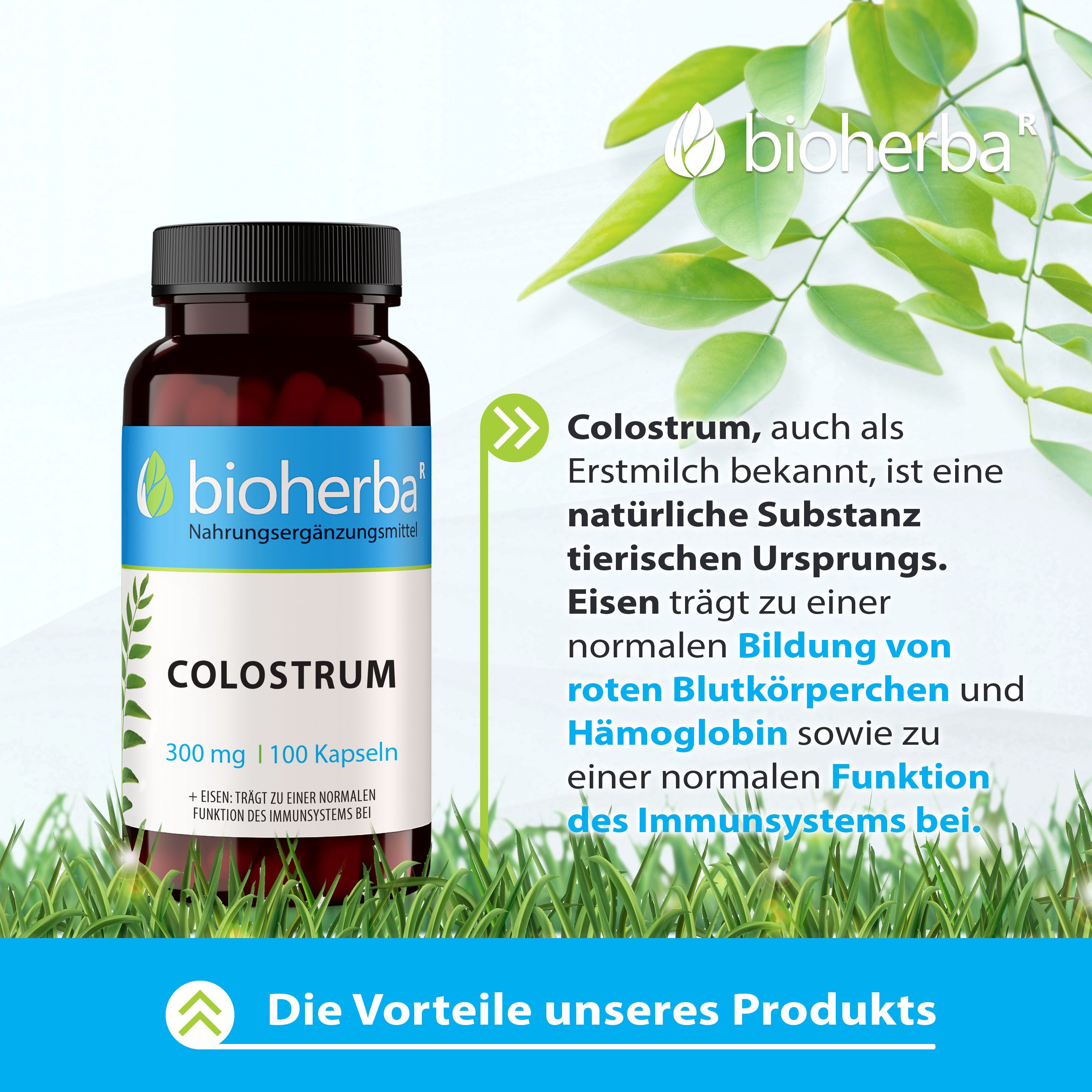 Braune Flasche mit Colostrum Kapseln. 300 mg, 100 Kapseln. Bioherba Logo. Text über Vorteile des Produkts.