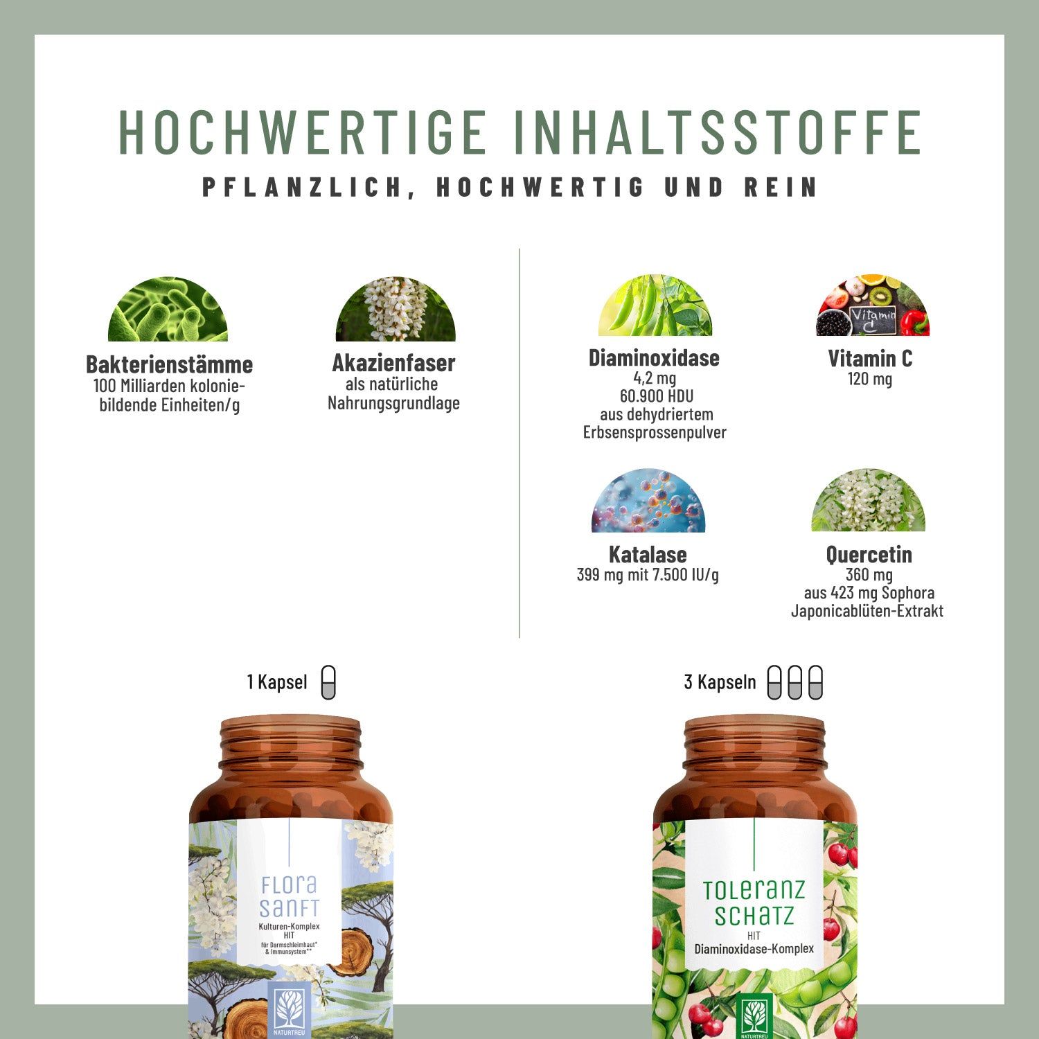 Infografik mit Inhaltsstoffen. Oben: FLORASANFT und TOLERANZSCHATZ. Darunter: Bakterienstämme, Akazienfaser, Diaminoxidase, Vitamin C, Katalase, Quercetin.