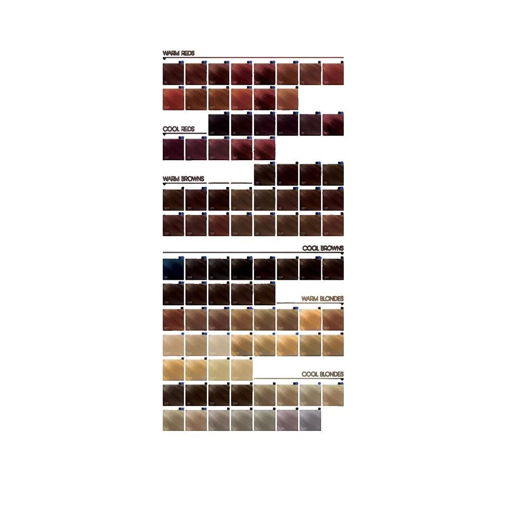 Farbkarte mit verschiedenen Haarfarben. Verschiedene Farbtöne in Reihen angeordnet.