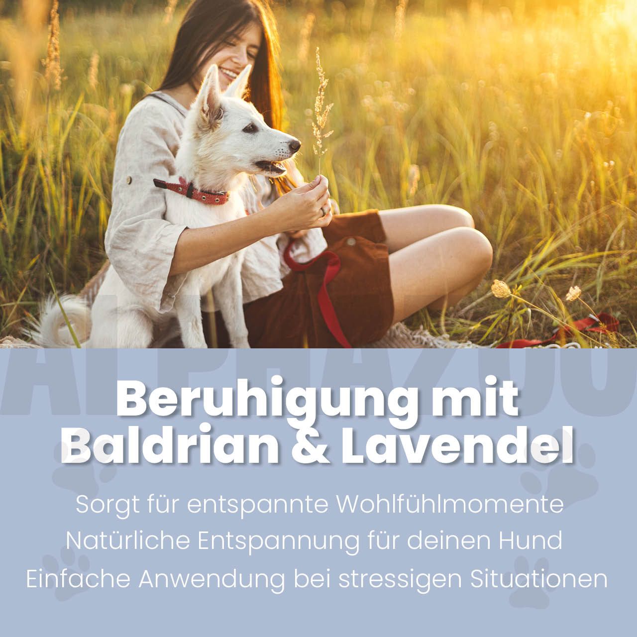 Frau und Hund im Feld. Text: Beruhigung mit Baldrian & Lavendel. Sorgt für entspannte Wohlfühlmomente.