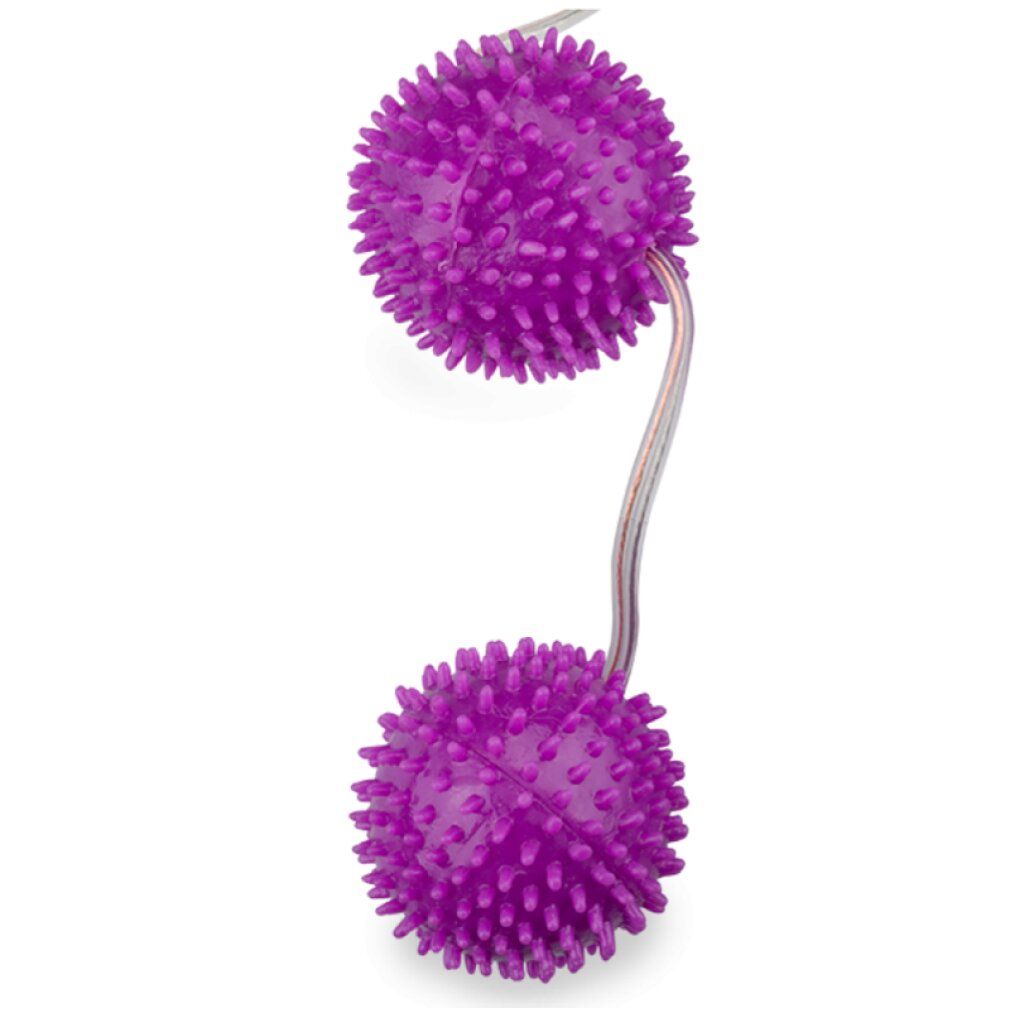 Zwei lilafarbene, stachelige Kugeln, verbunden durch einen Strang. Die Kugeln sind rund und haben eine stachelige Oberfläche.