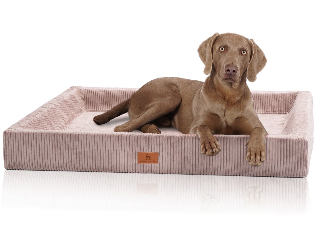 Hund liegt auf orthopädischem Hundebett. Bett rechteckig, rosa, Cordstoff. Logo-Etikett.