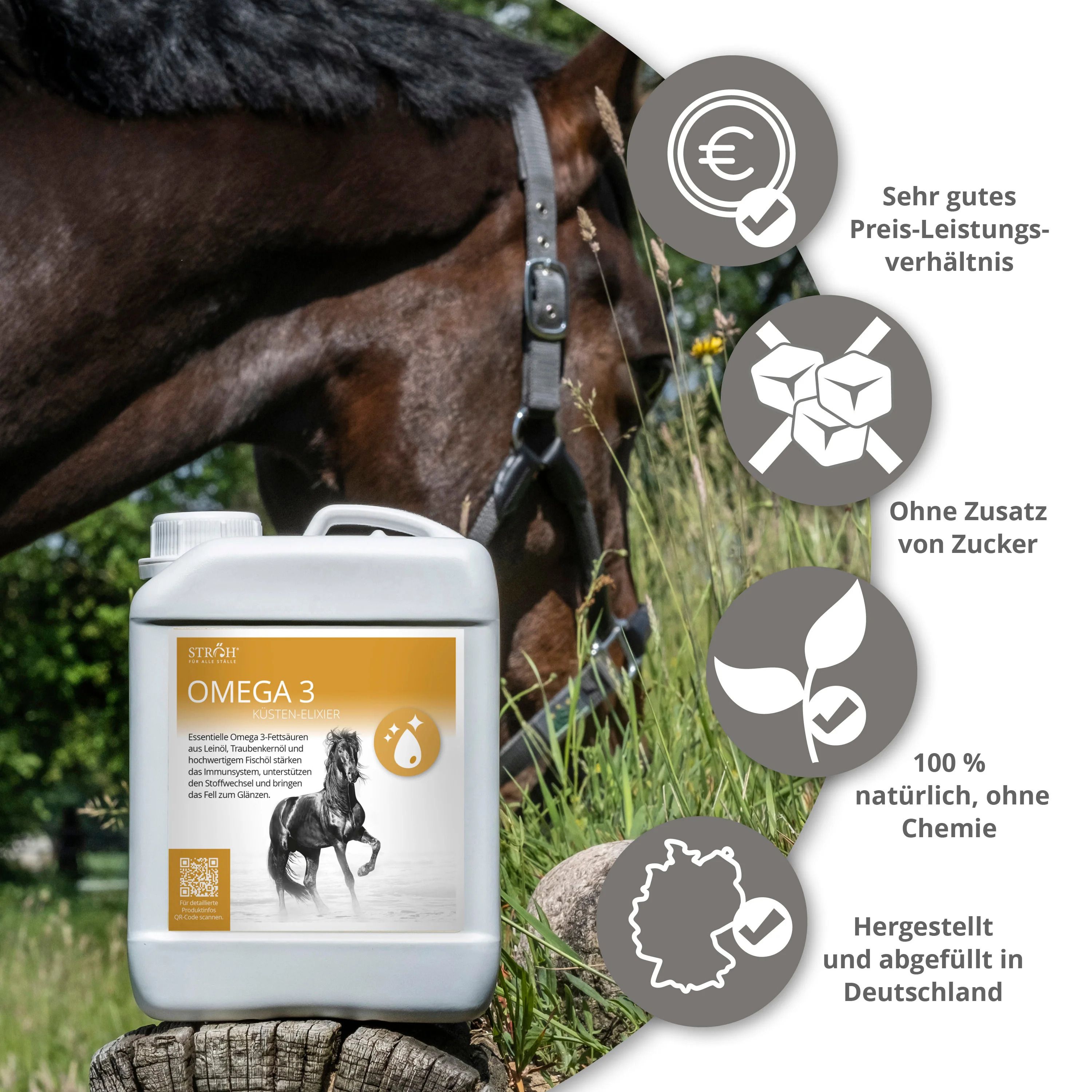 Kanister mit Omega 3. Aufschrift: Omega 3. Abbildung eines Pferdes. Pferd im Hintergrund.