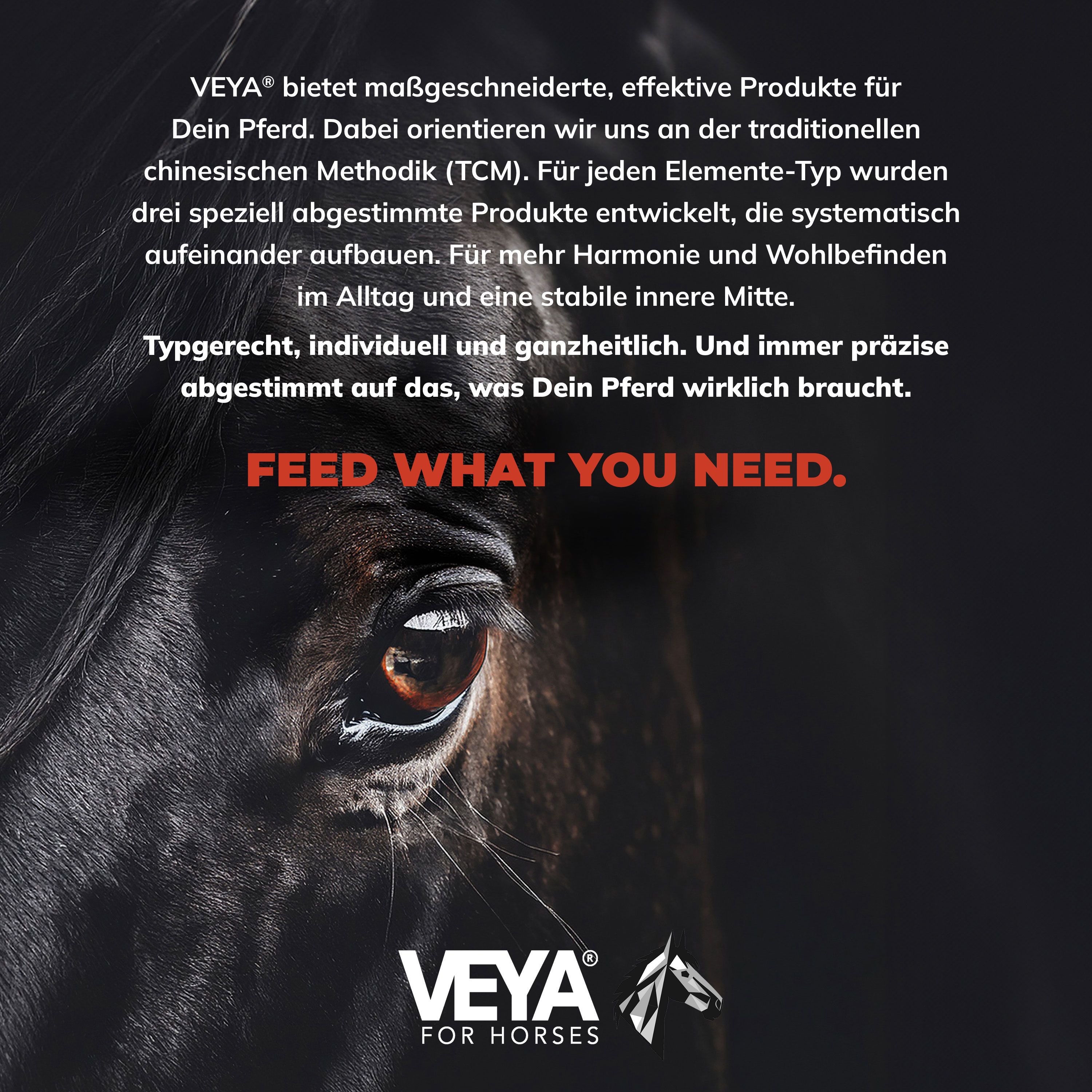 Nahaufnahme eines Pferdeauges. Text: FEED WHAT YOU NEED. VEYA FOR HORSES Logo. Dunkler Hintergrund.