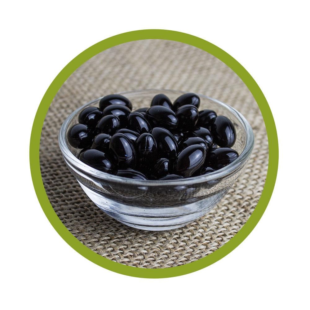 vitalundfitmit100® Astaxanthin Kapseln