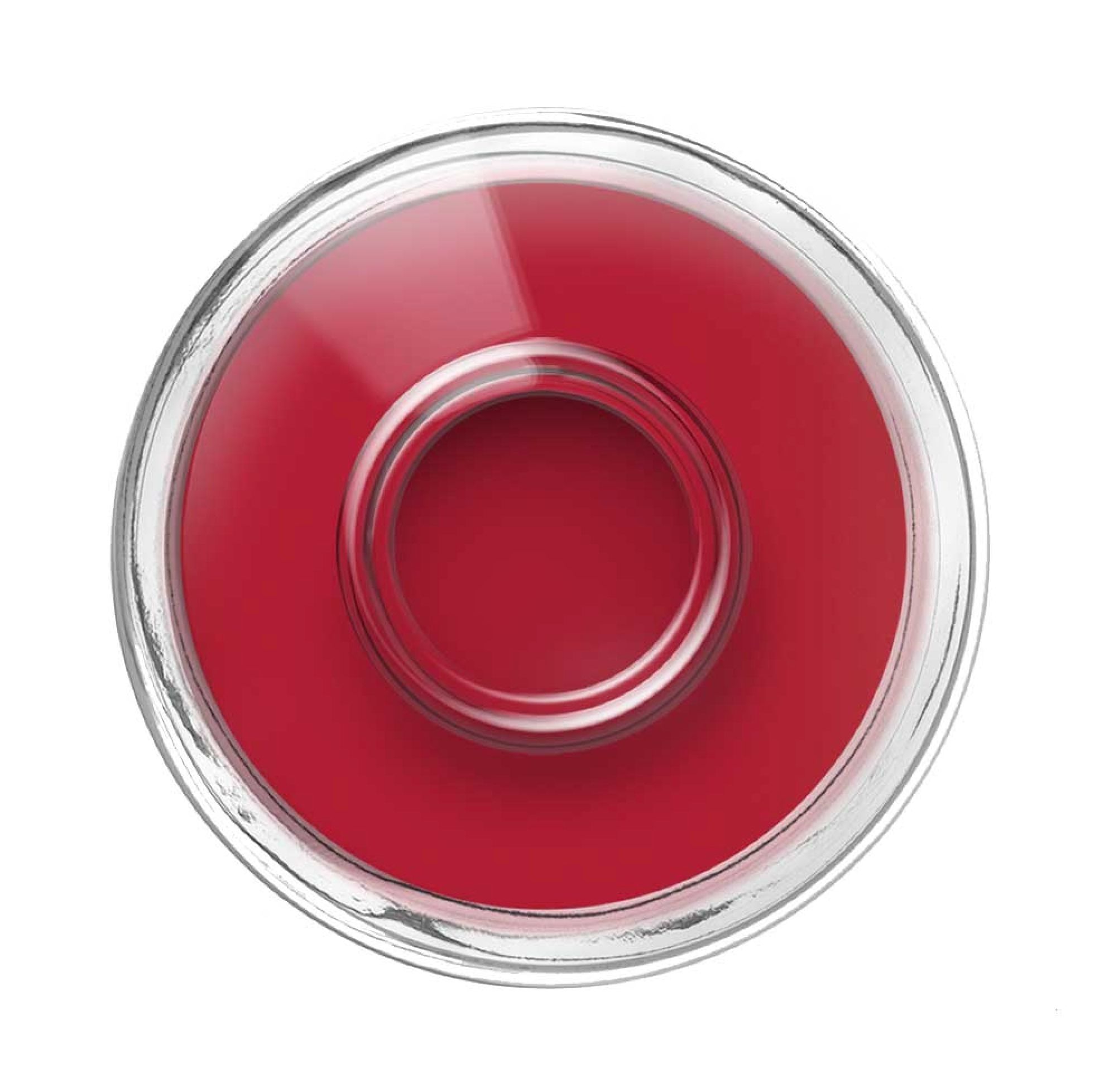 OZN Ingke Pflanzenbasierter Nagellack – 22+FREE, Vegan, Mit 2 Pinseln, Made In Germany