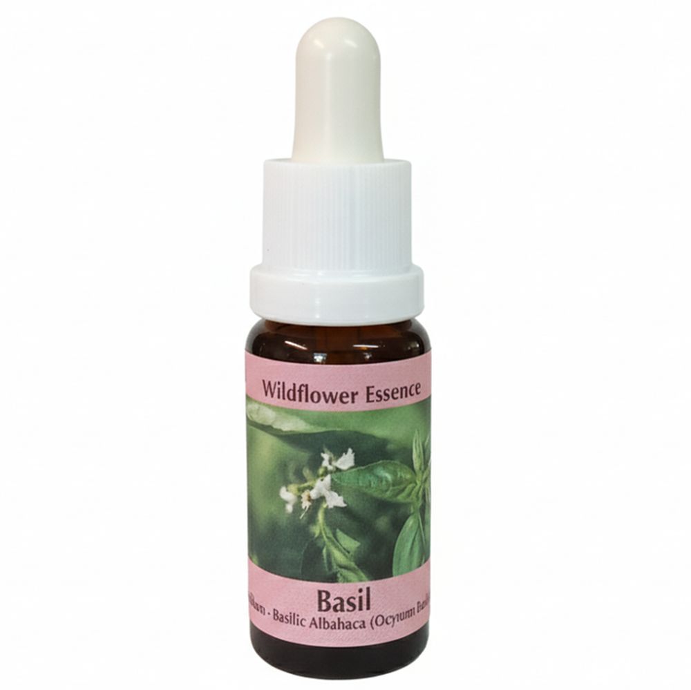 PHI Essences - Basilikum Wildblüten Essenz