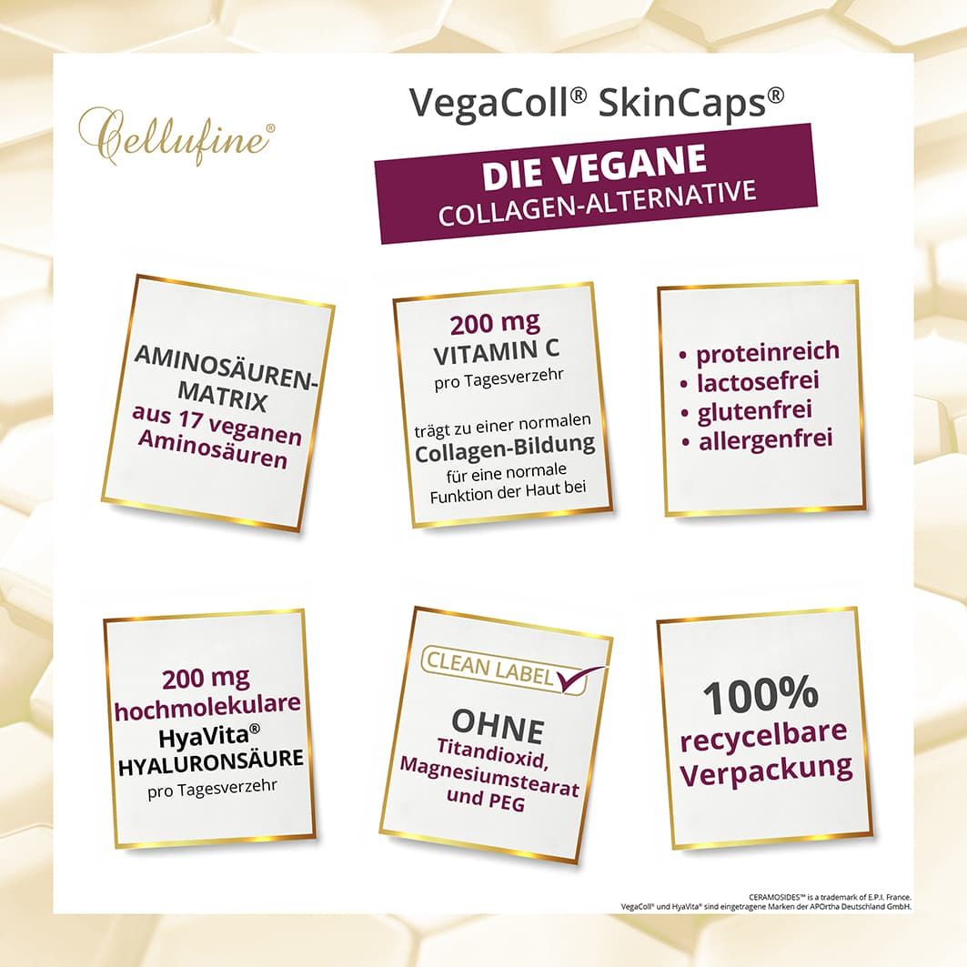 Infografik mit Produktinformationen. Aminosäuren, Vitamin C, glutenfrei, allergenfrei, Hyaluronsäure, ohne Titandioxid, recycelbare Verpackung.