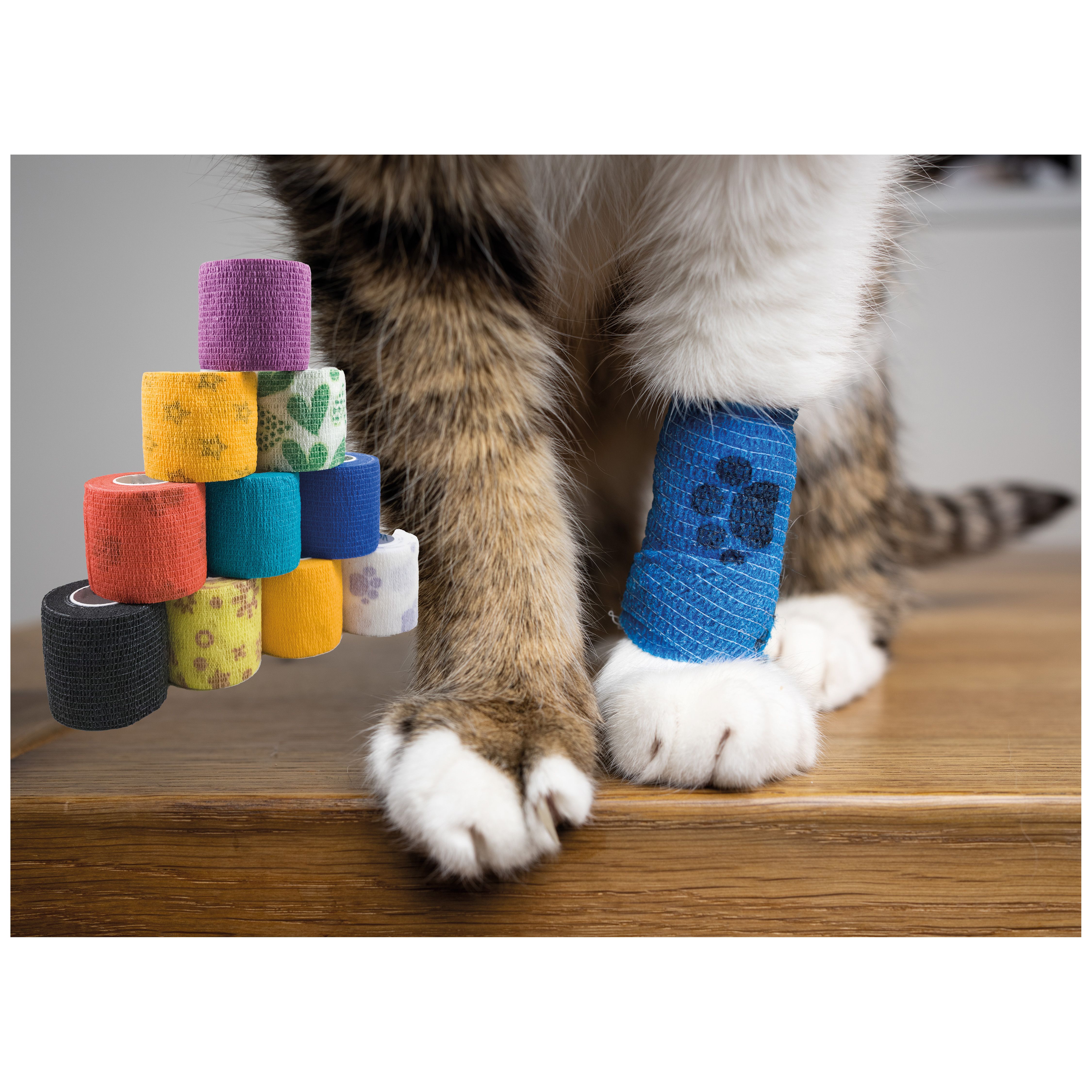 NatuSol Kohäsive Bandage weiß m. Pfotenmotiv 5 cm x 4,5 m, Set I