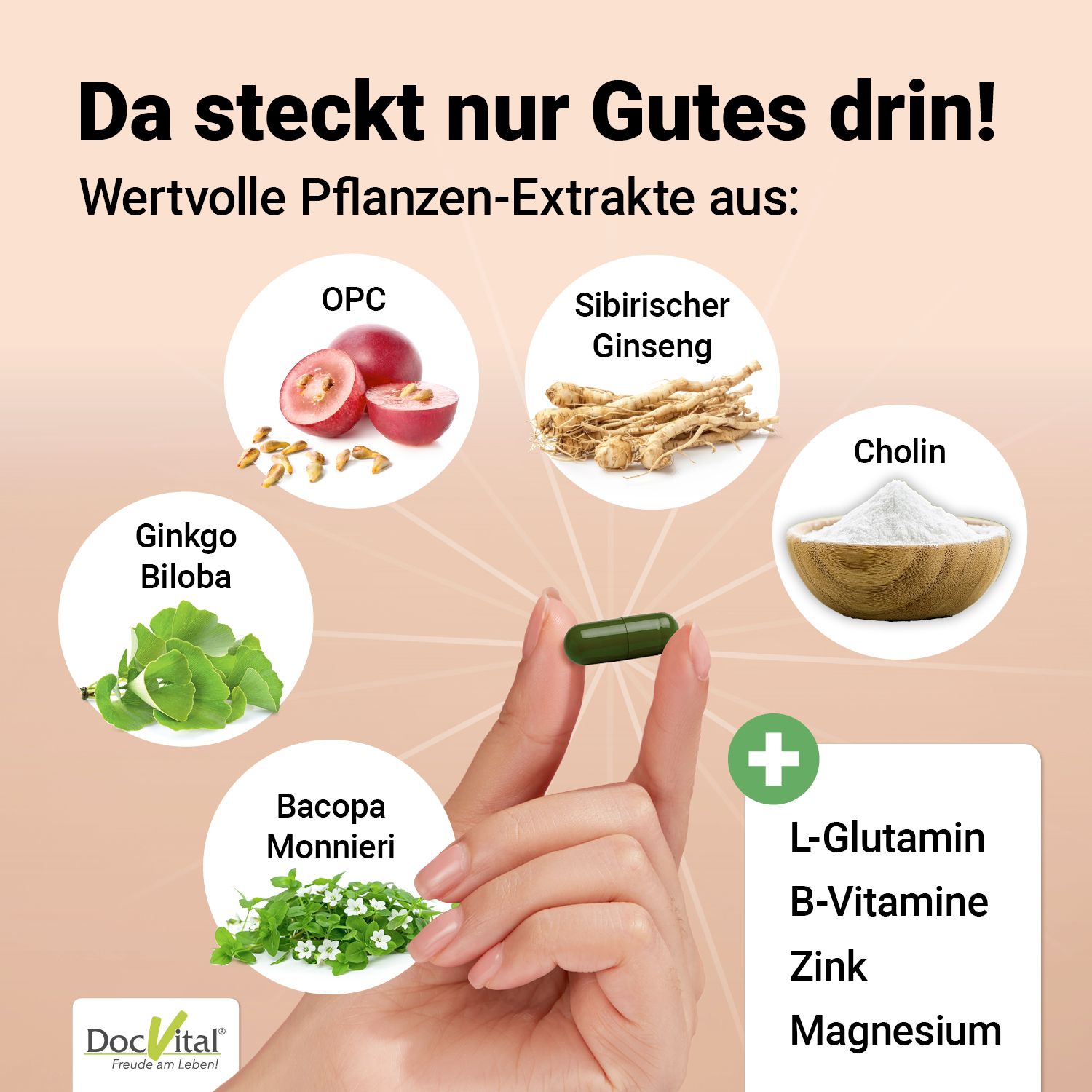 DocVital® Gehirn Vital Komplex – Ginseng, Ginkgo & Brahmi Kapseln