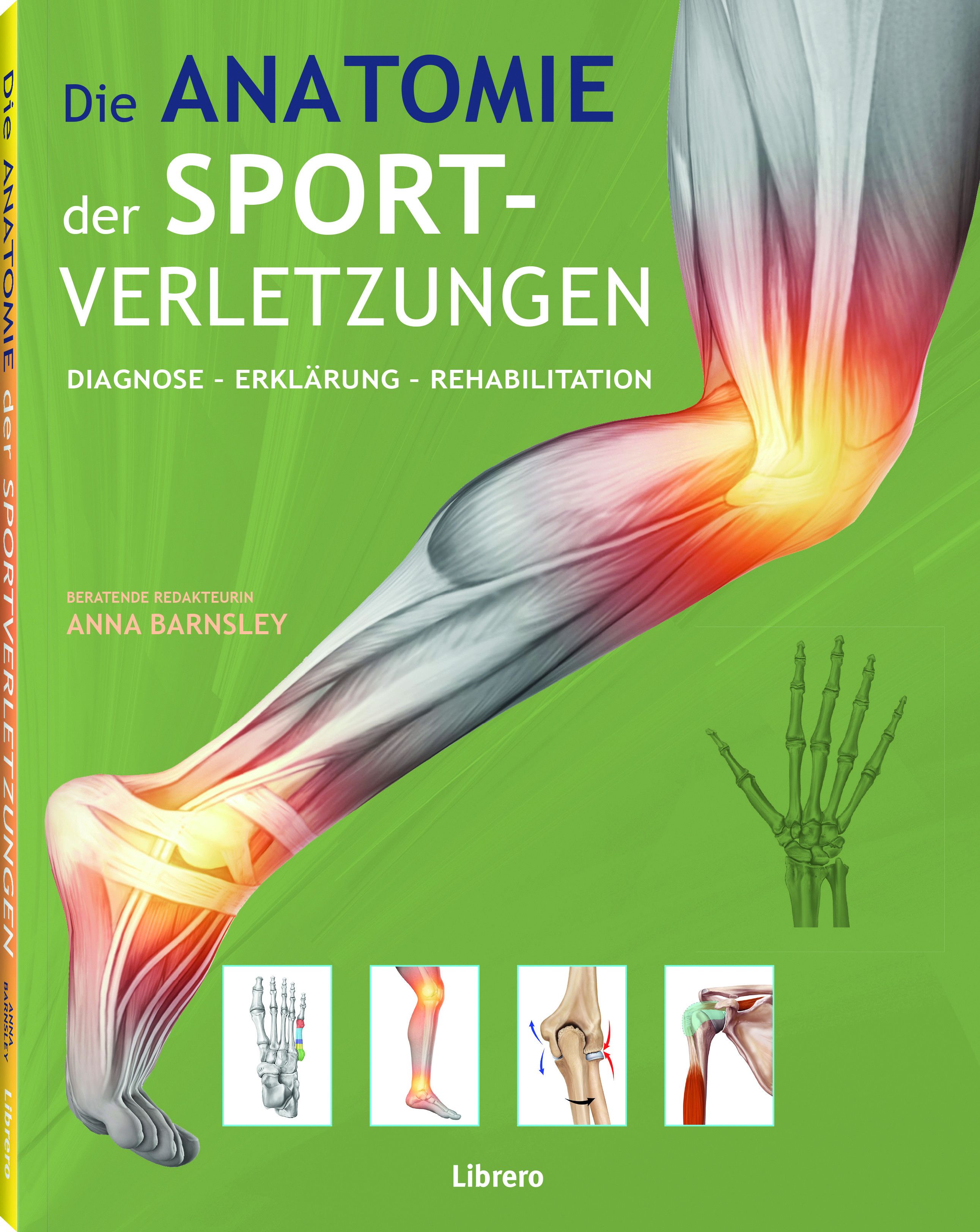 Die Anatomie der Sportverletzungen