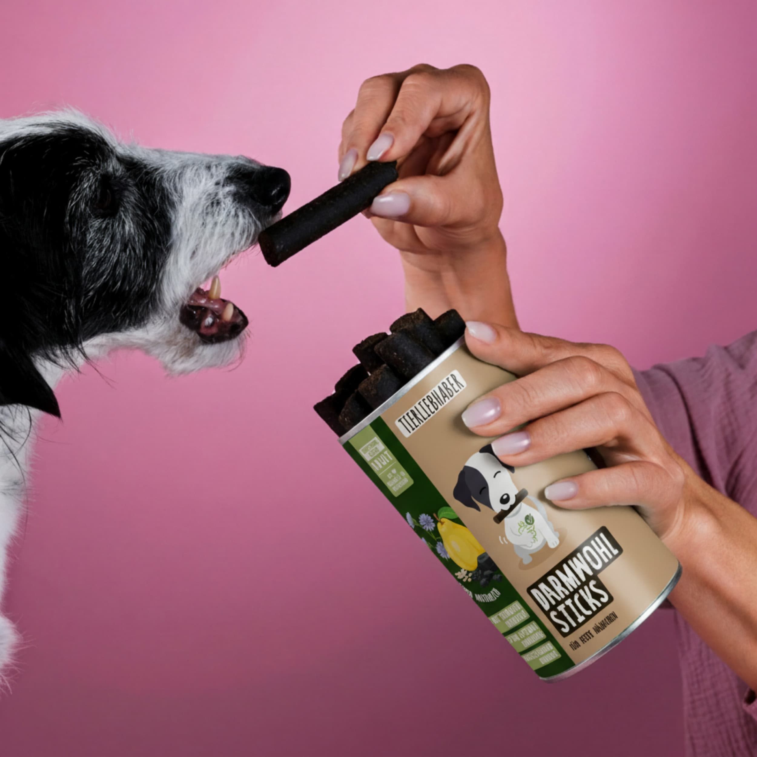 Hund frisst Darmwohl Stick aus Dose. Aufschrift: Tierliebhaber, Darmwohl Sticks. Dose wird gehalten.