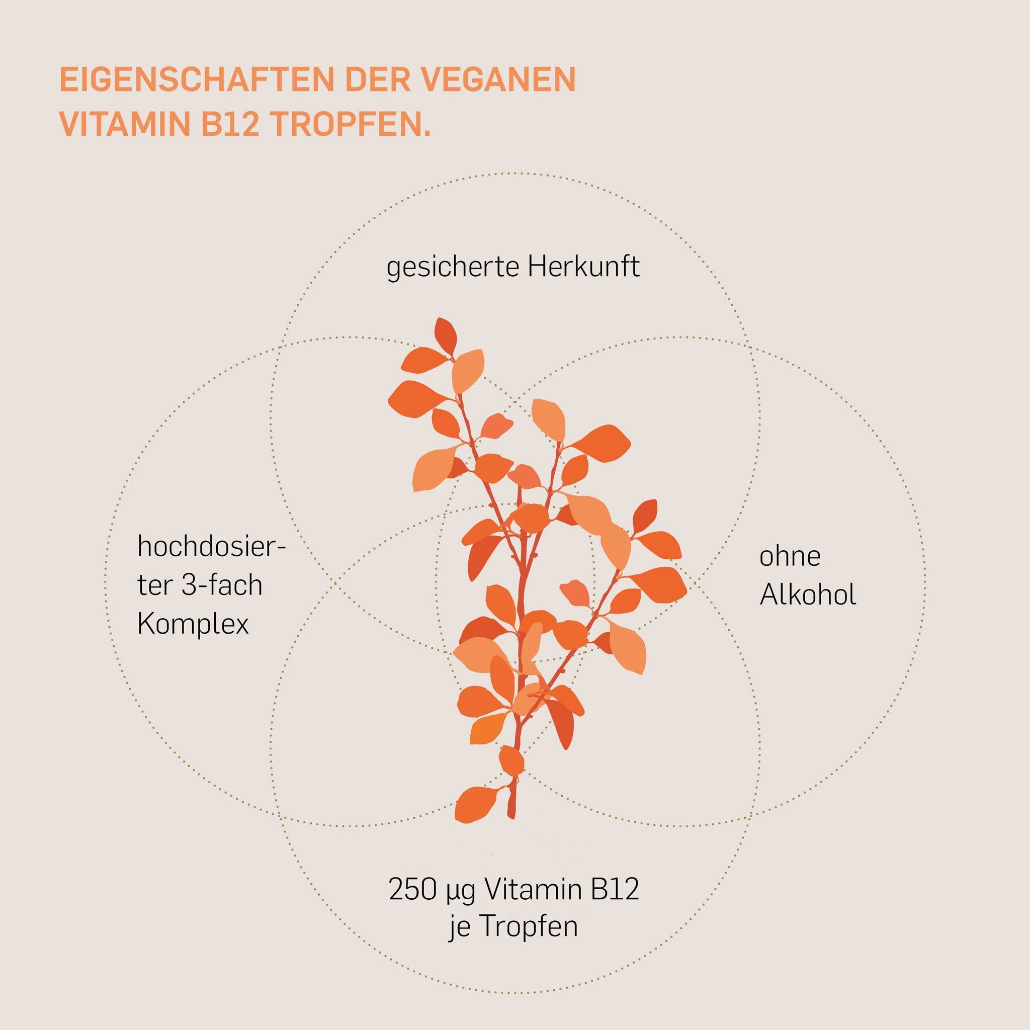 Kurkraft© Vitamin B12 - Tri-Komplex - alle 3 natürlichen Formen