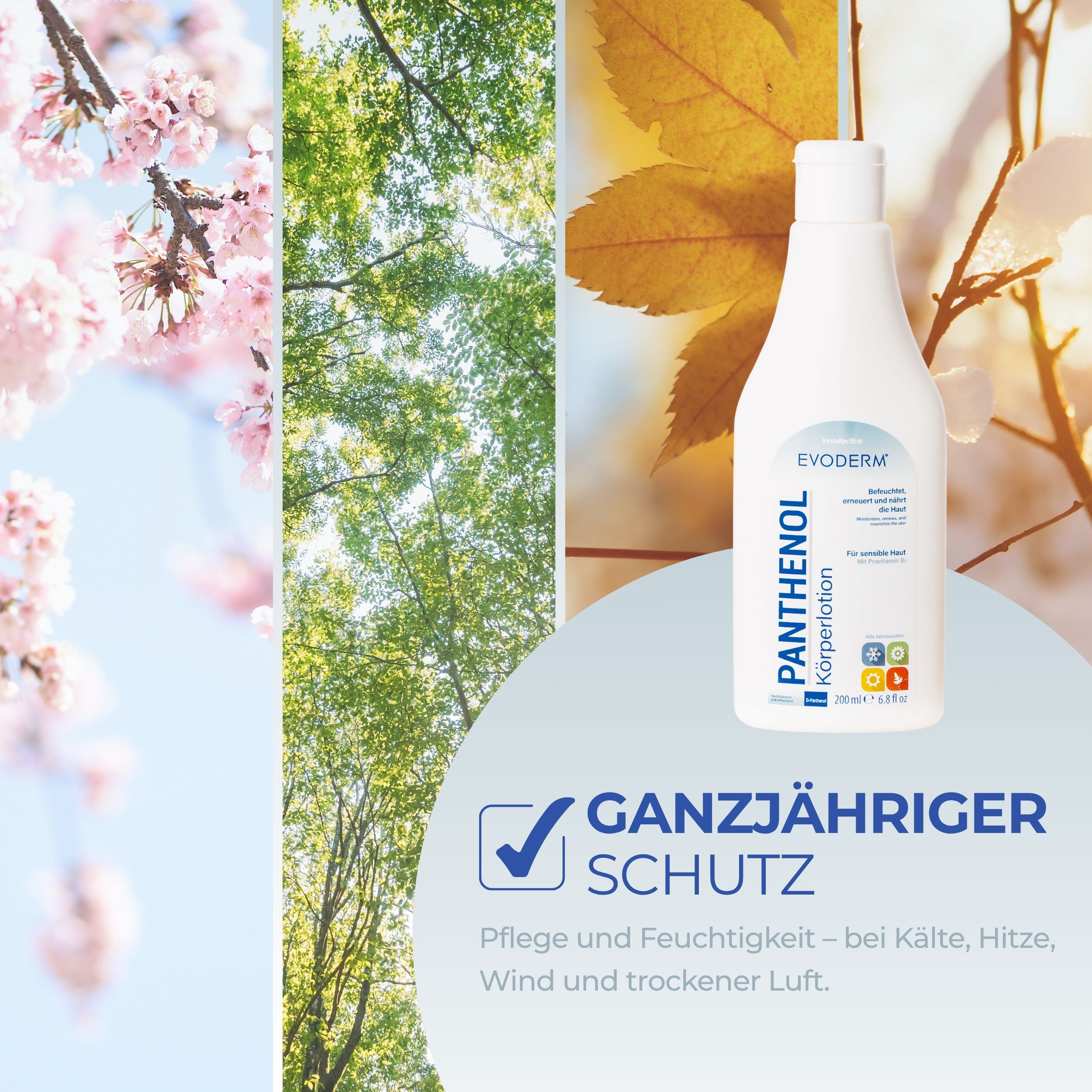 EVODERM Panthenol Körperlotion, Flasche. Weiße Flasche vor Naturhintergrund. Text: Ganzjähriger Schutz. Pflege und Feuchtigkeit bei Kälte, Hitze, Wind.