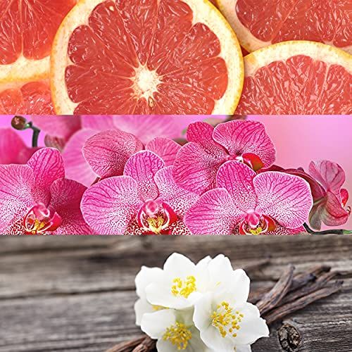 Collage aus Grapefruit, Orchideen und Jasminblüten mit Vanilleschoten.
