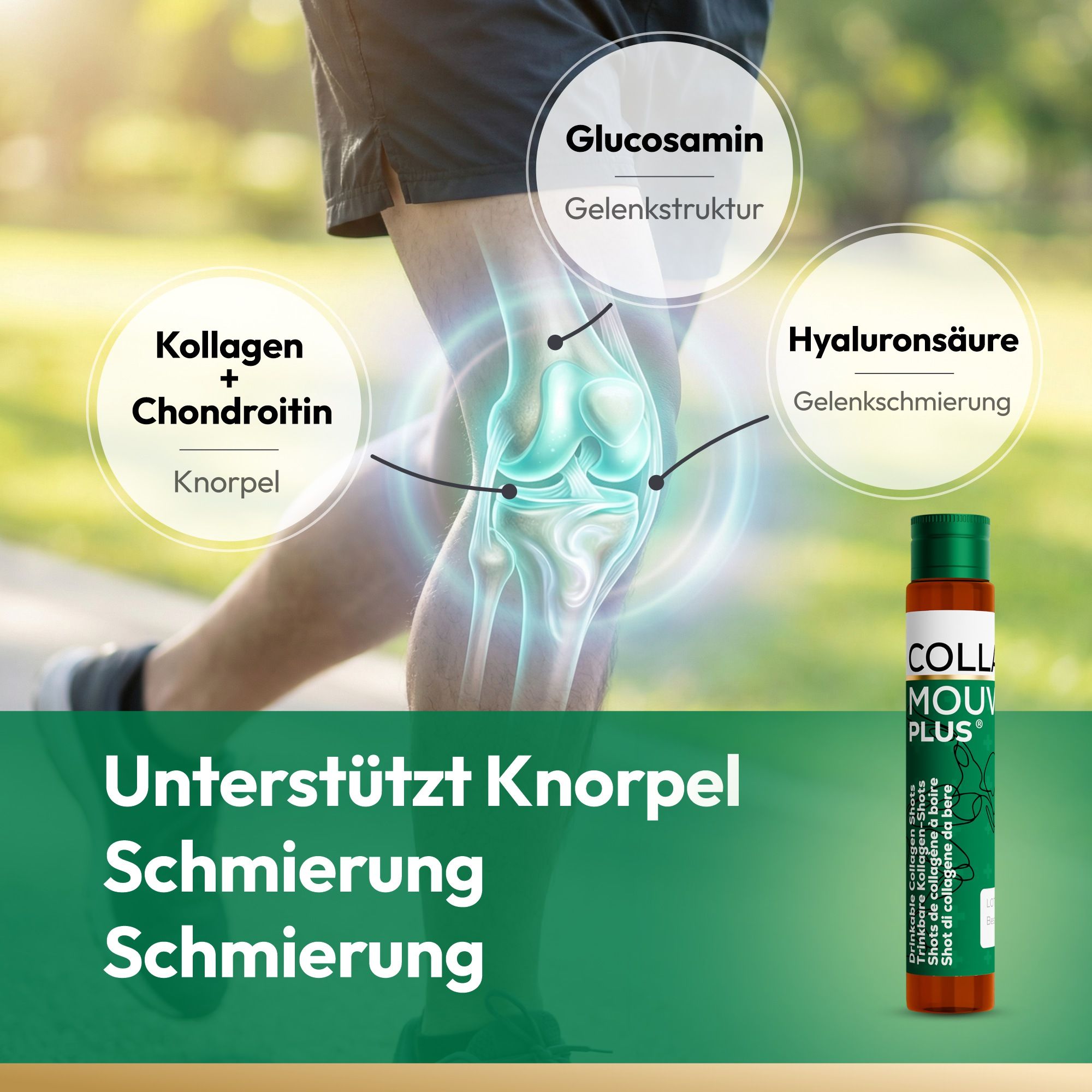 BHW Collamouv Plus Kollagen Glucosamin Chondroitin