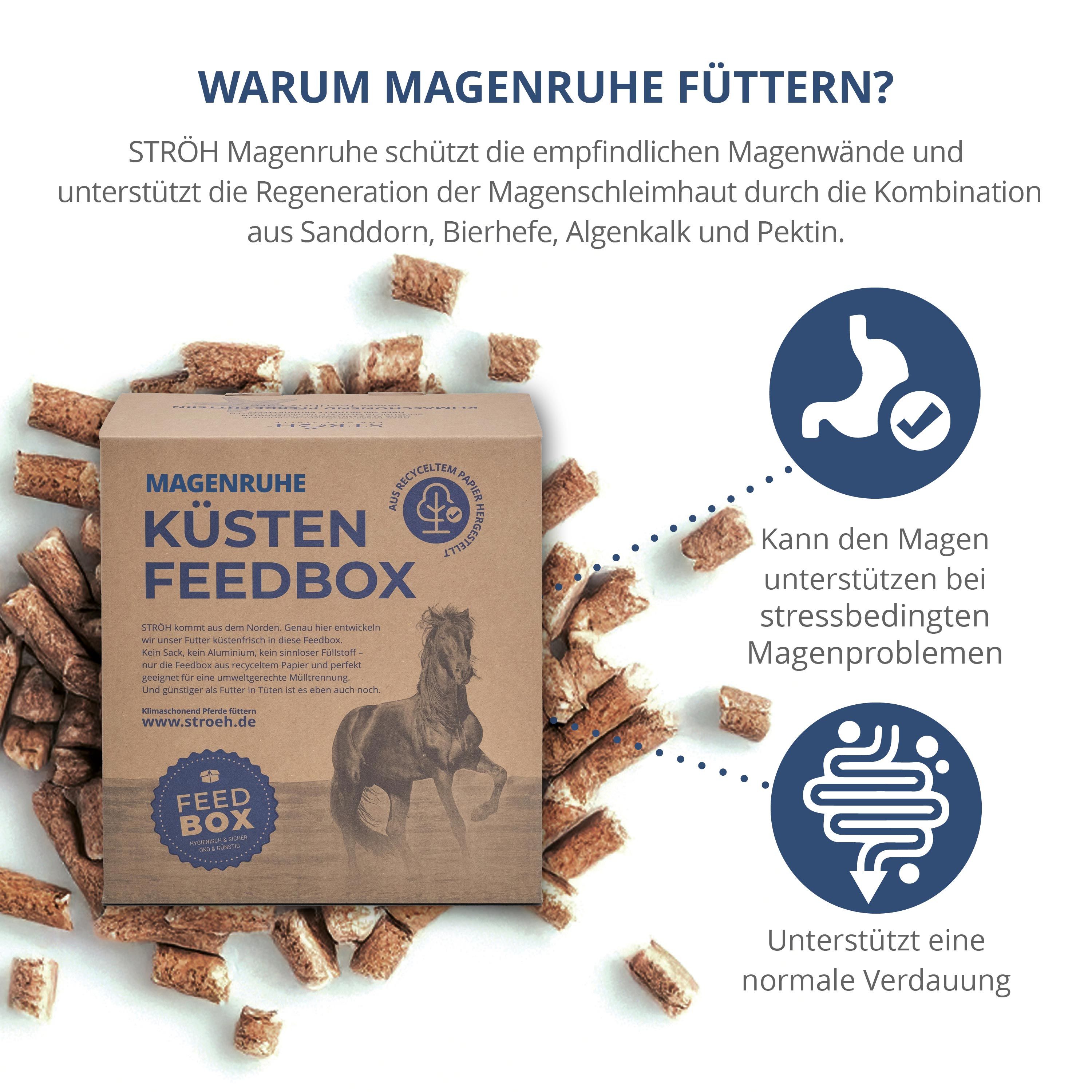 STRÖH Küsten Feedbox mit Pferdemotiv, umgeben von Futterpellets. Grafiken zeigen Magen- und Verdauungssymbole.