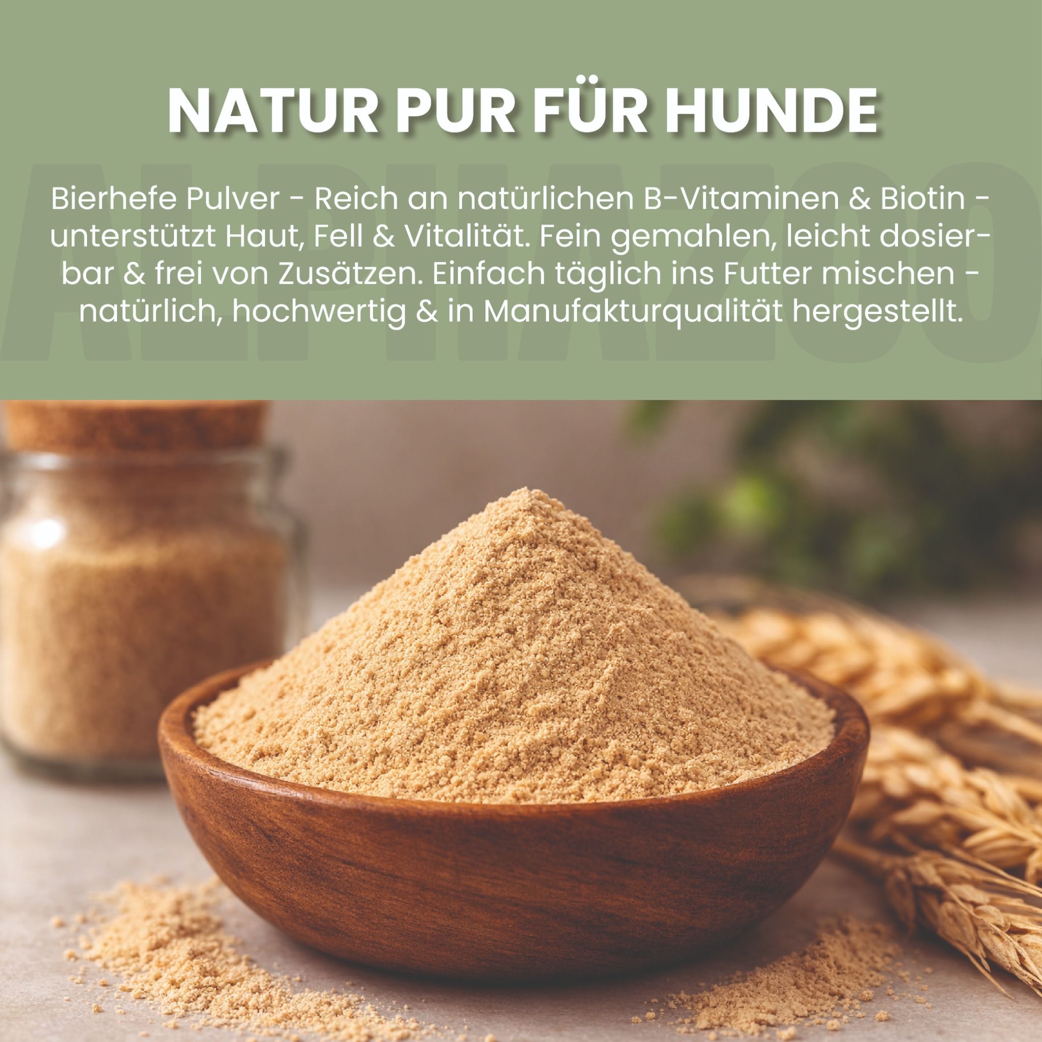 Holzschale mit feinem Bierhefe Pulver, Weizenähren im Hintergrund.
