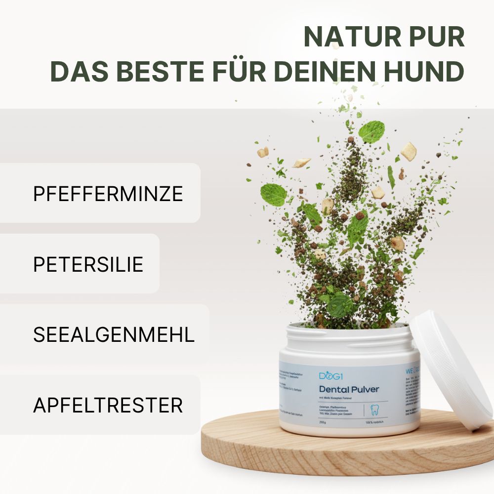 Dose "DOG1 Dental Pulver" auf Holzbrett. Zutaten: Pfefferminze, Petersilie, Seealgenmehl, Apfeltrester. Text: Natur pur, das Beste für deinen Hund.