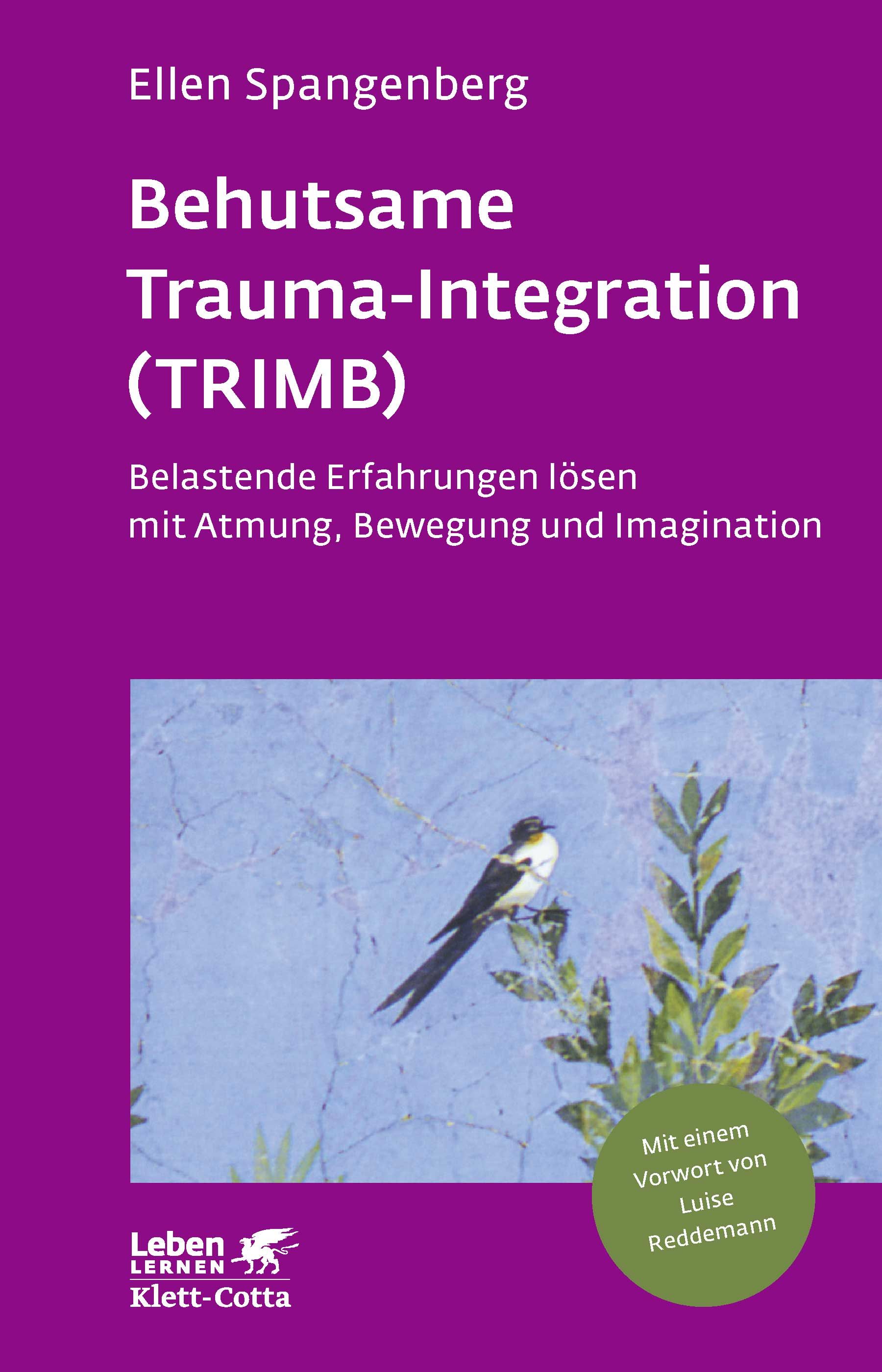 Behutsame Trauma-Integration (TRIMB)