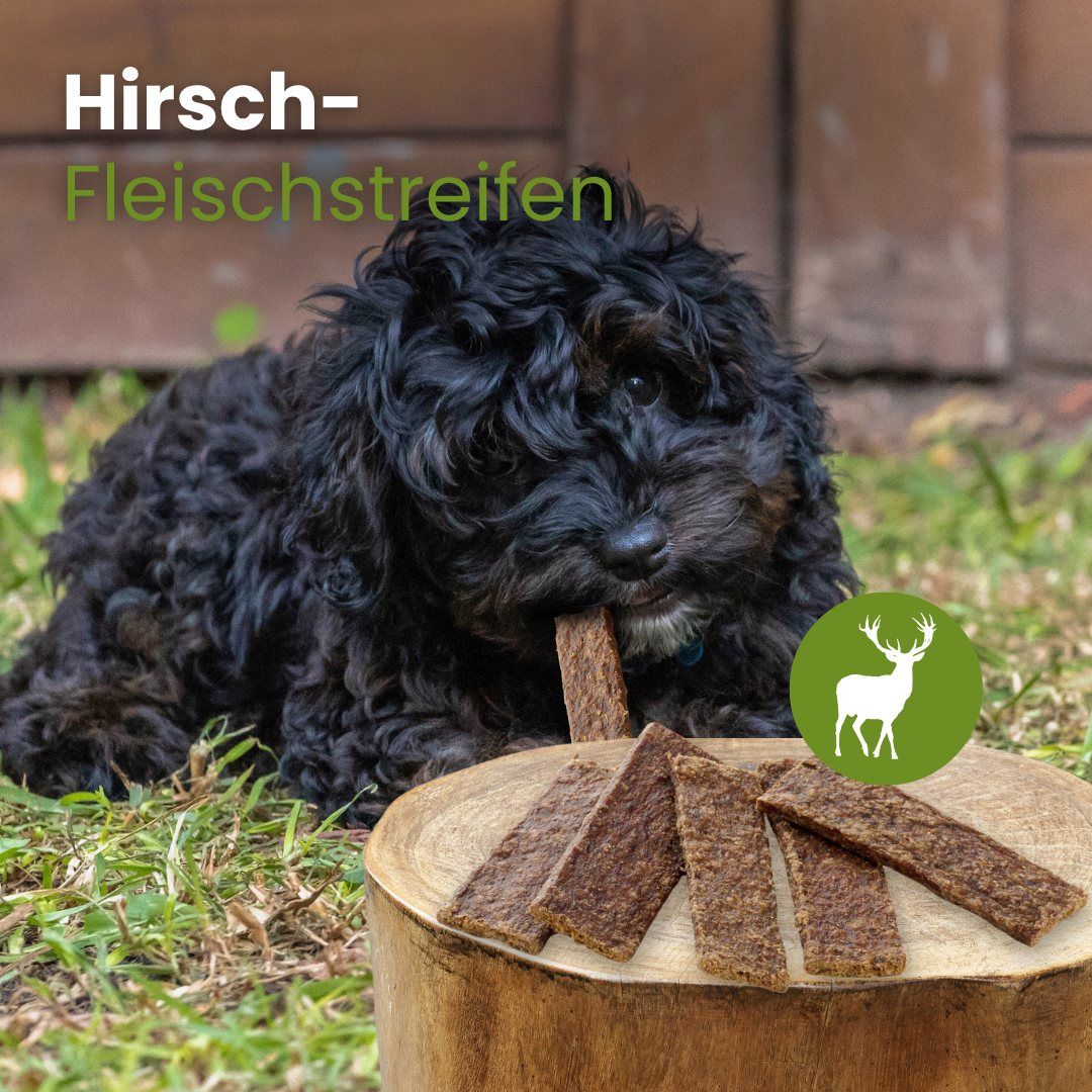 Kleiner Hund kaut Hirschfleischstreifen. Mehrere Stücke liegen auf einem Baumstumpf.