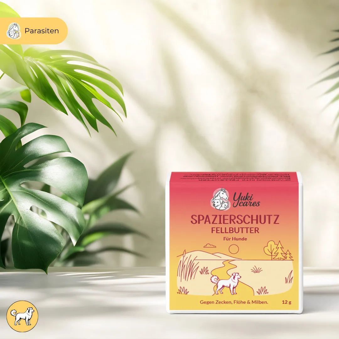 Karton mit Produktaufdruck. Text: Spazierschutz Fellbutter für Hunde. Gegen Zecken, Flöhe & Milben. 12g.