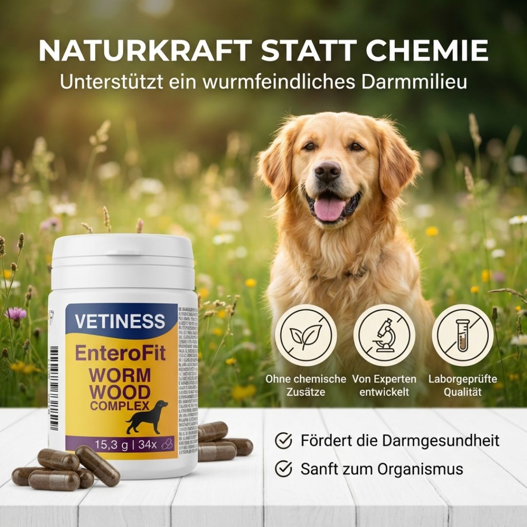 Produkt-Dose mit Kapseln und Hund. Text: Naturkraft statt Chemie. Fördert Darmgesundheit. Sanft zum Organismus. Von Experten entwickelt.