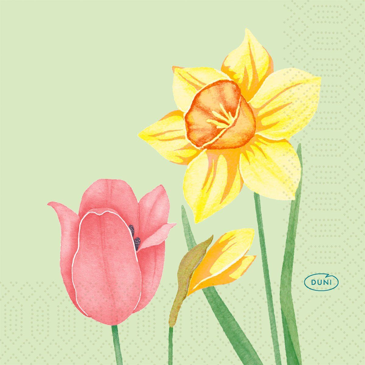 Servietten 24x24 3-lagig Spring Melody Papierservietten 50 St Tücher
