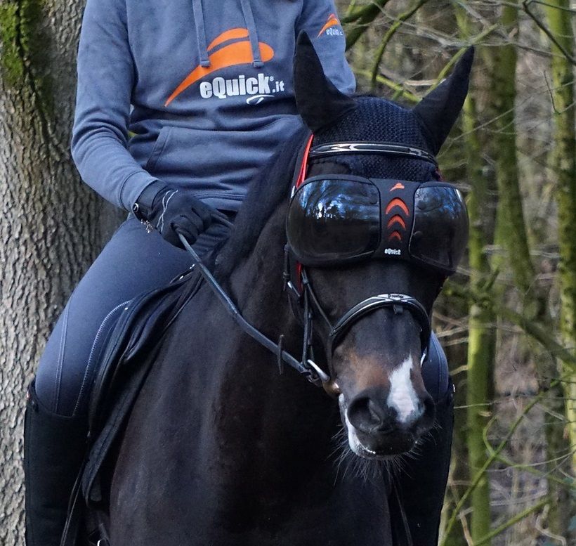 eQuick® eVysor Schutzbrille darker, onesize