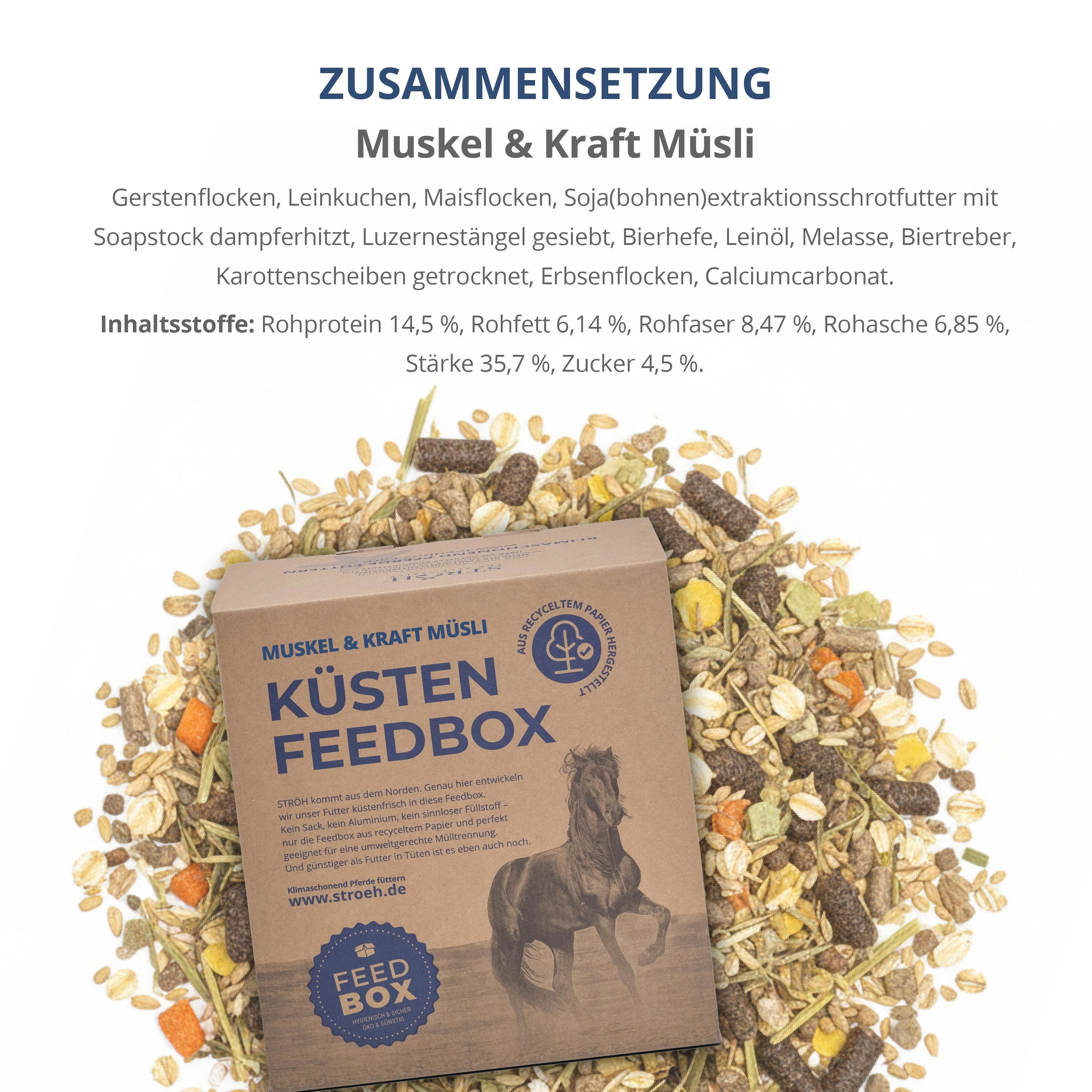 Karton "Küsten Feedbox" mit Müsli. Text: Muskel & Kraft Müsli, Inhaltsstoffe. Produkt liegt auf Müsli-Mischung. Logo mit Pferd.