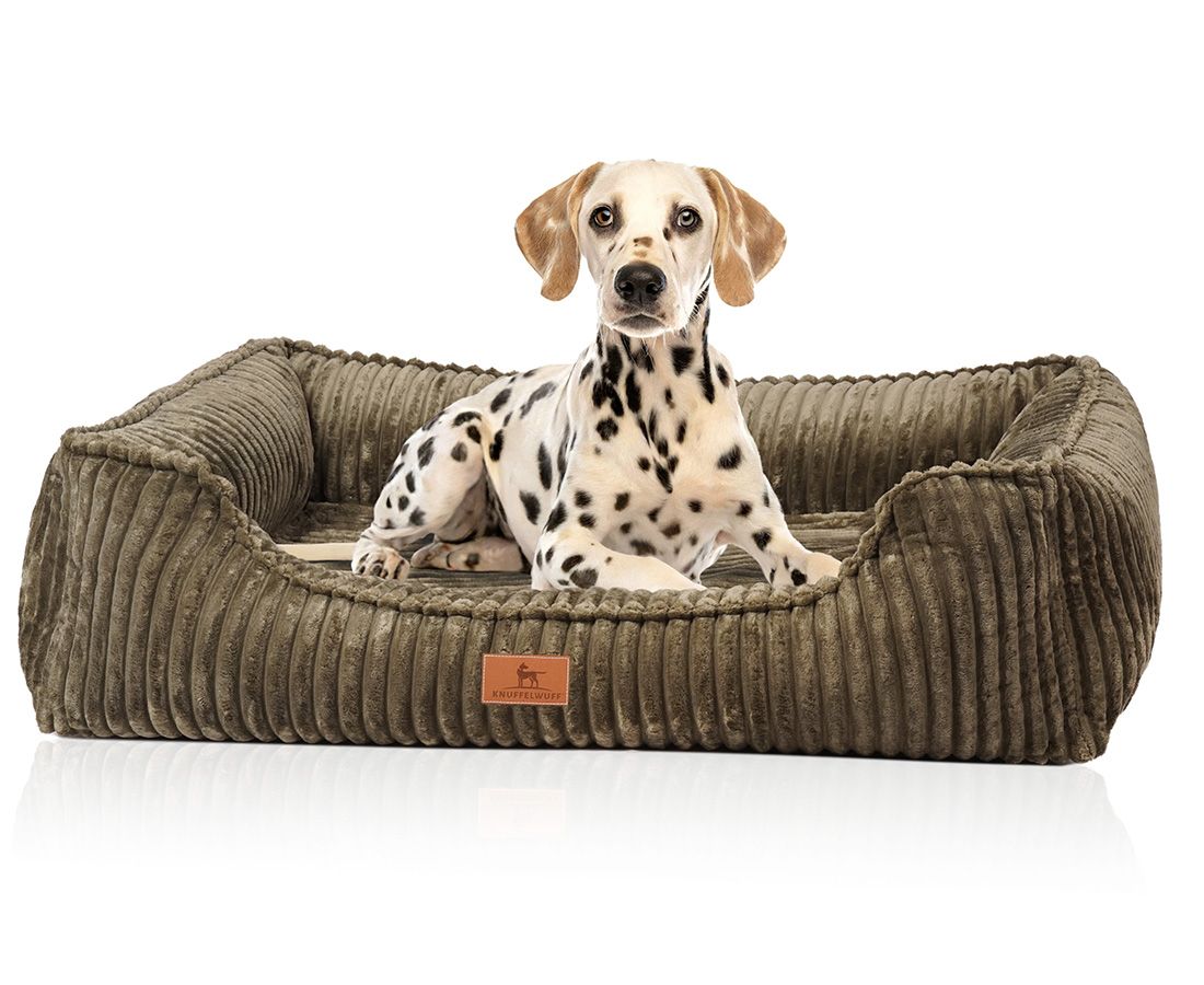 Hundebett Sedona, braun, geriffeltes Material, rechteckige Form. Dalmatiner-Hund liegt im Bett. Kleines Markenlogo.