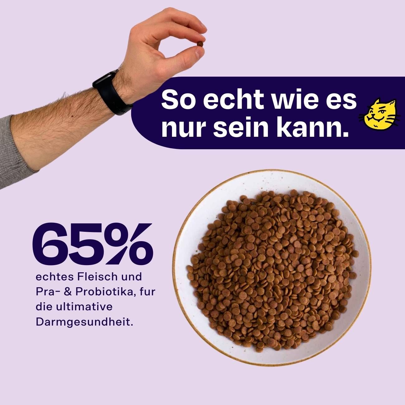 Nahaufnahme von braunen Katzenfutter-Pellets in einer weißen Schale. Text: "65% echtes Fleisch". Eine Hand hält ein Pellet.