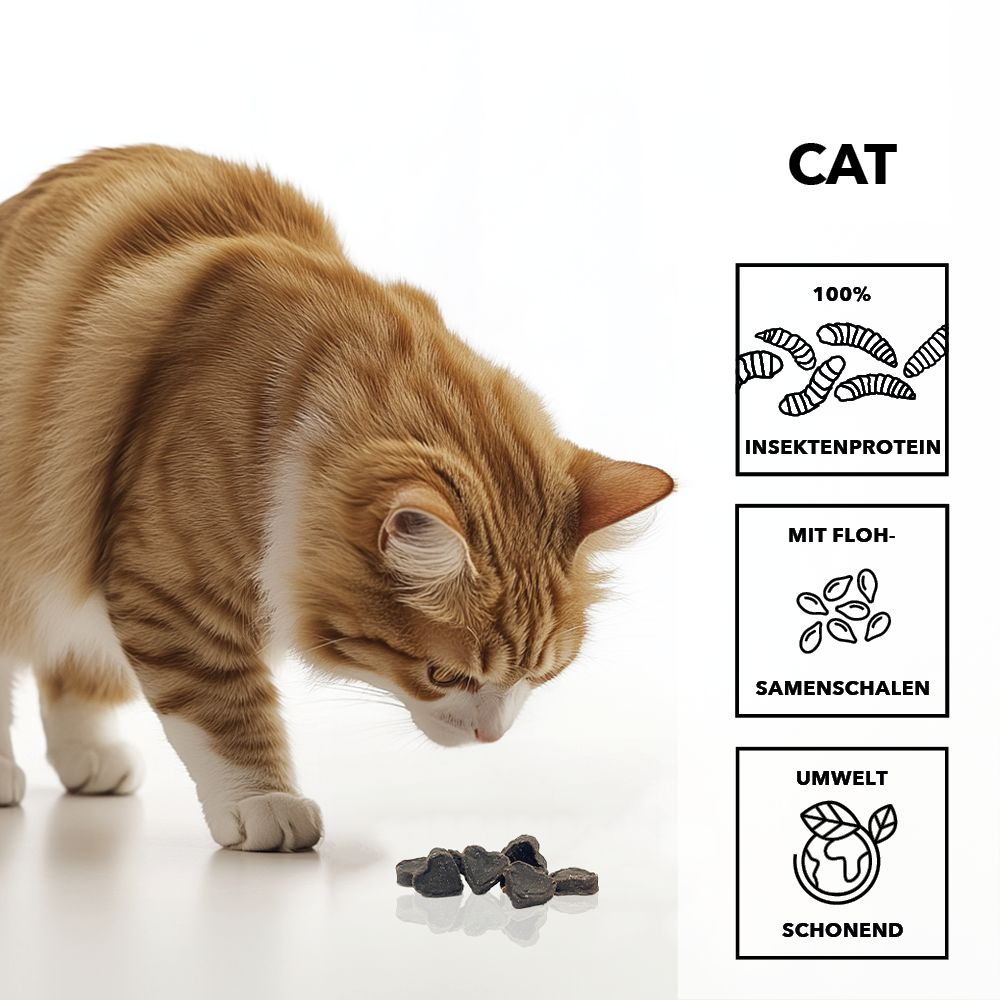 entoVITAL CAT Soft Snacks