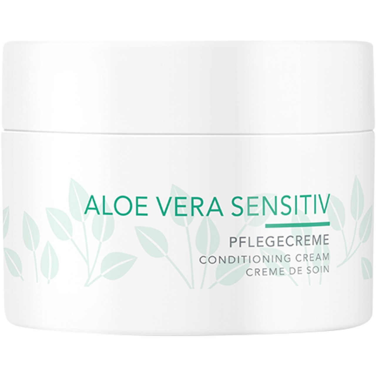 Charlotte Meentzen, Aloe Vera Pflegecreme