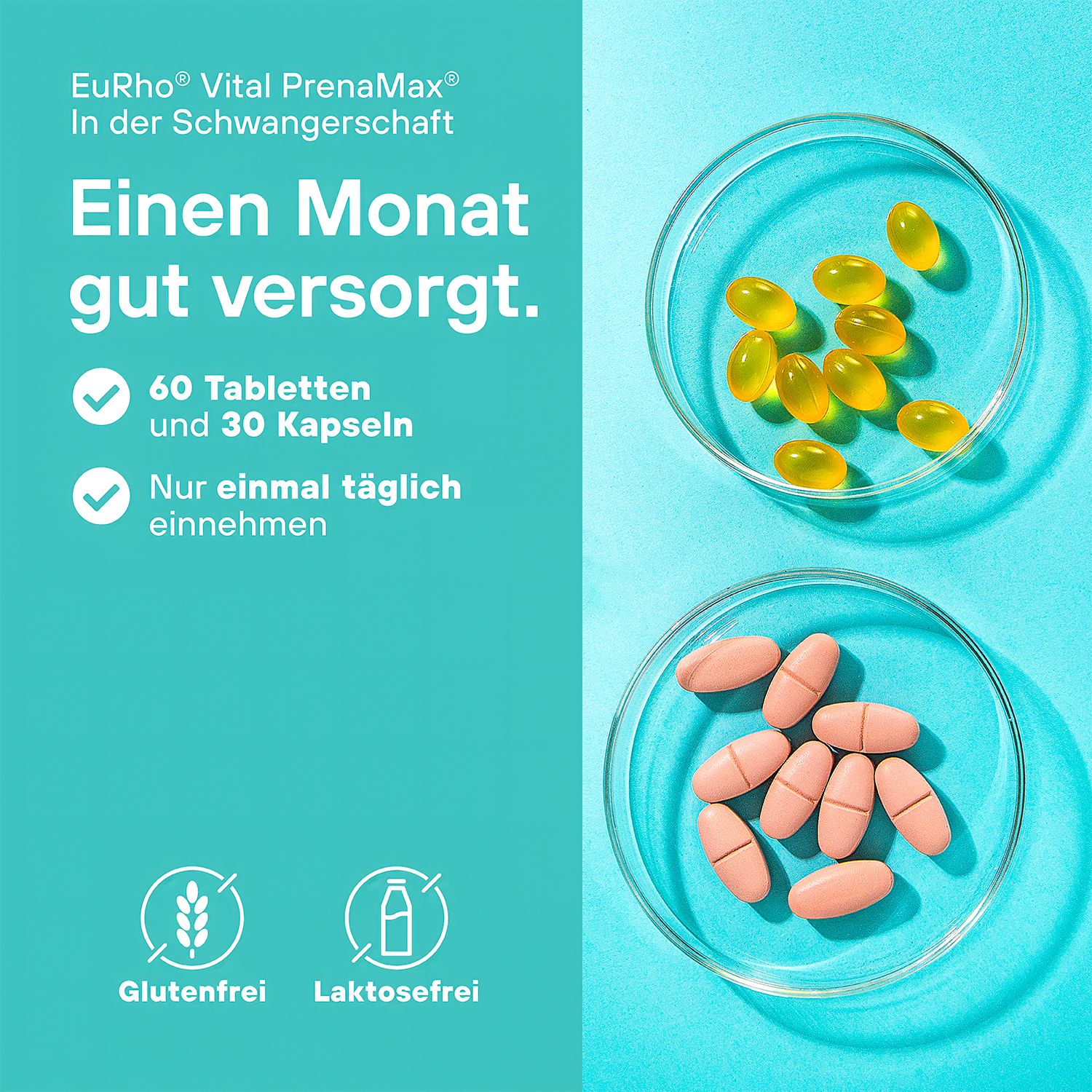EuRho® Vital PrenaMax® Schwangerschaft & Kinderwunsch | Folsäure, DHA, Eisen & Jod