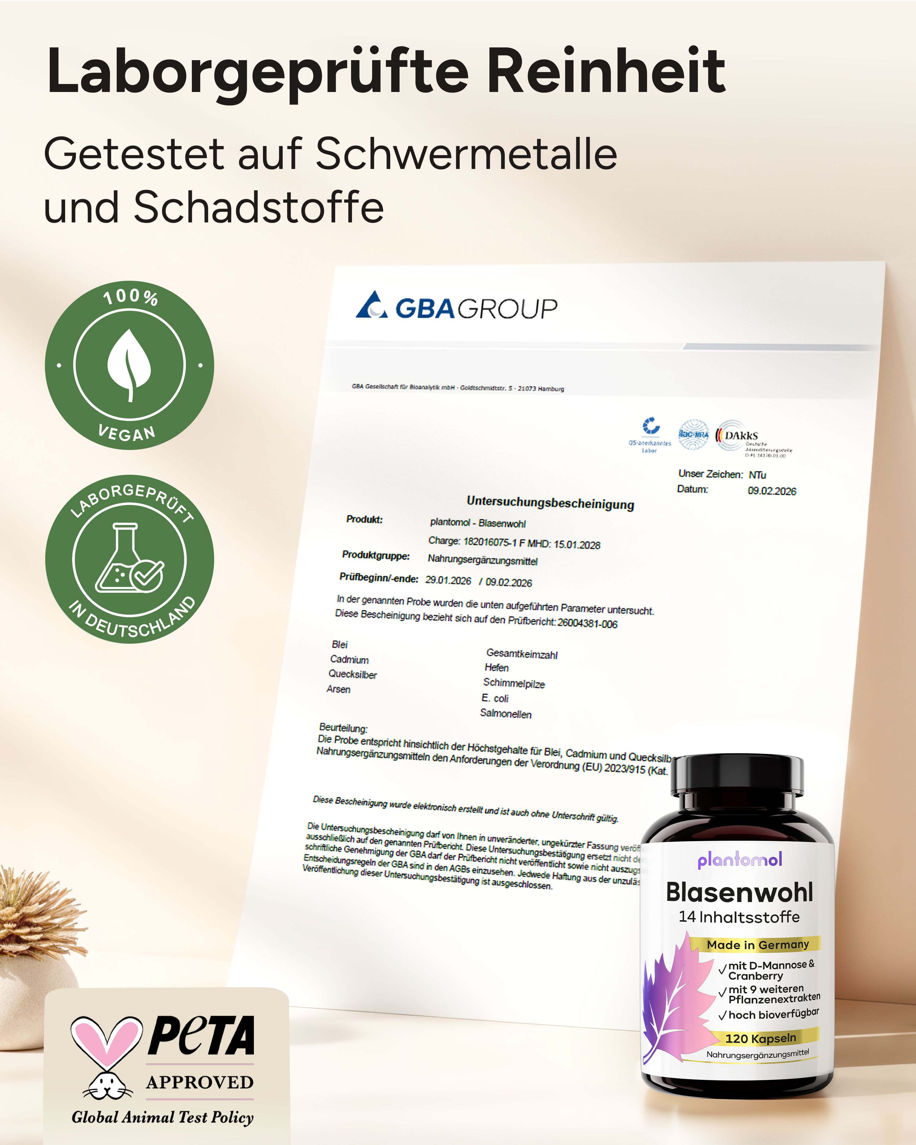 plantomol® Cranberry Kapseln mit D-Mannose Goldrute & Bärentraubenblätter - Blasenwohl