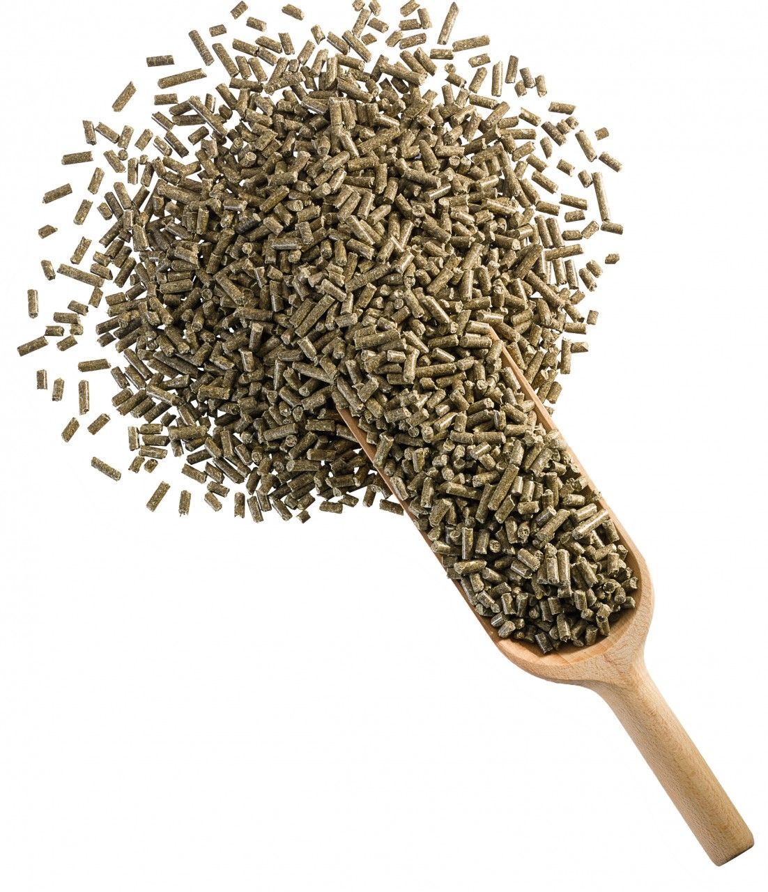 Derby Pferdefutter Country