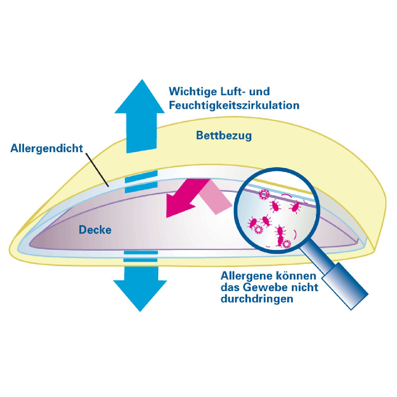 Schnittzeichnung eines Bettes mit Bettbezug. Pfeile zeigen Luftzirkulation und Allergendichtigkeit.