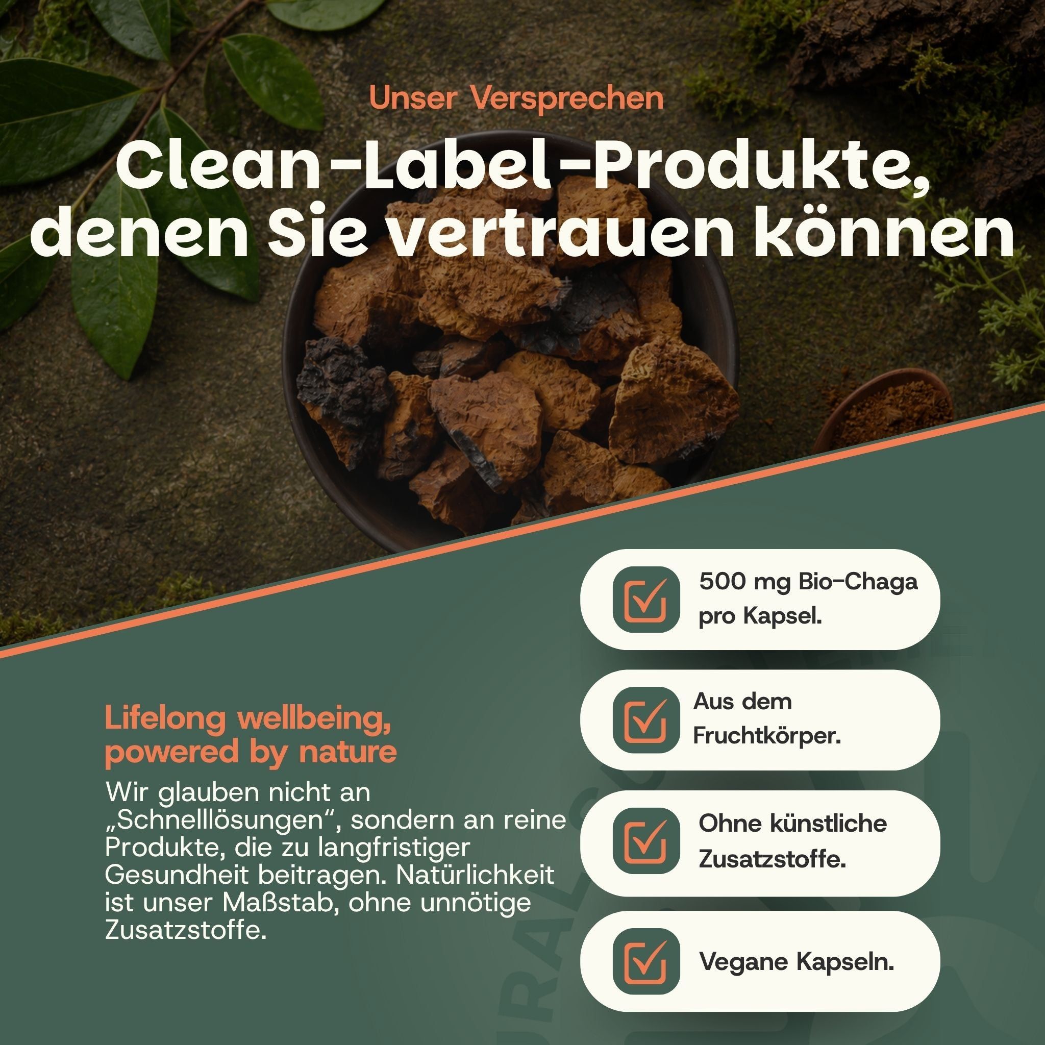 Schale mit Chaga-Pilzstücken. Daneben Hinweise: 500mg Bio-Chaga pro Kapsel, aus dem Fruchtkörper, ohne künstliche Zusatzstoffe, vegane Kapseln.