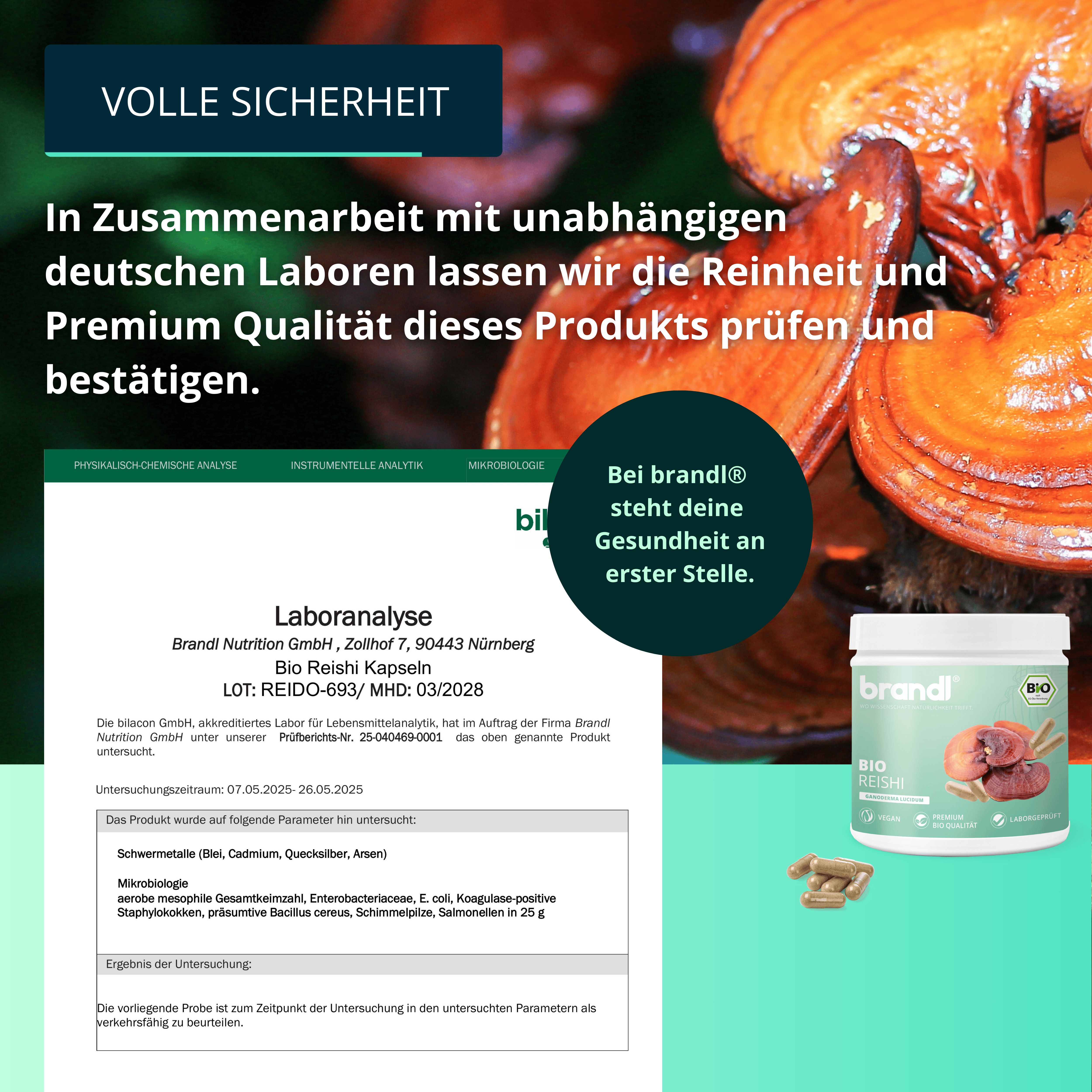Laboranalyse-Dokument mit Dose brandl® Bio Reishi und Kapseln. Text: Laboranalyse, Bio Reishi, 120 Kps., Charge DE230616-MHD: 31.12.25.