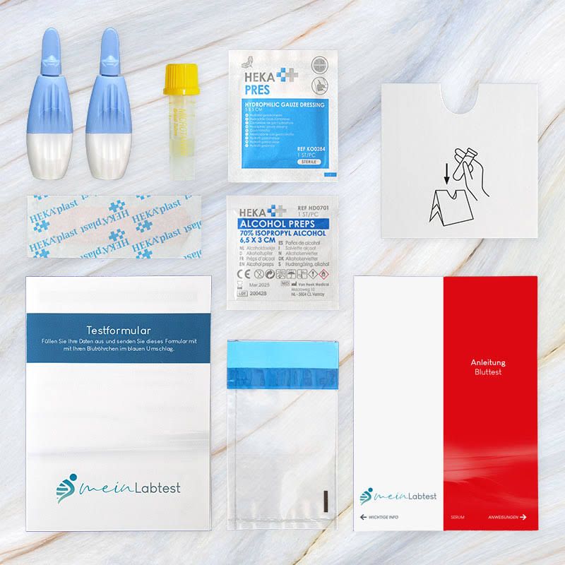 Testkit-Komponenten: Lanzetten, Röhrchen, Pflaster, Alkoholtupfer, Tupfer, Testformular, Beutel, Anleitung.