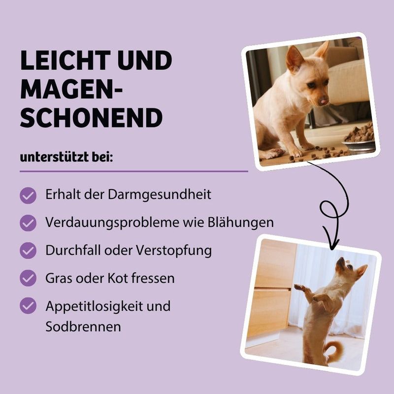 BugBell Weiche Hundeleckeri BellyVital  - Verdauung & Darmflora