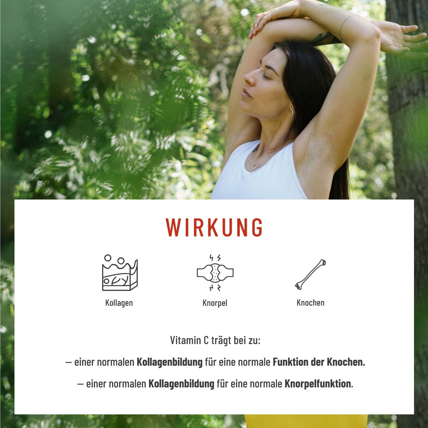 MSM Komplex mit Vitamin C - Vulkanstark - NATURTREU®