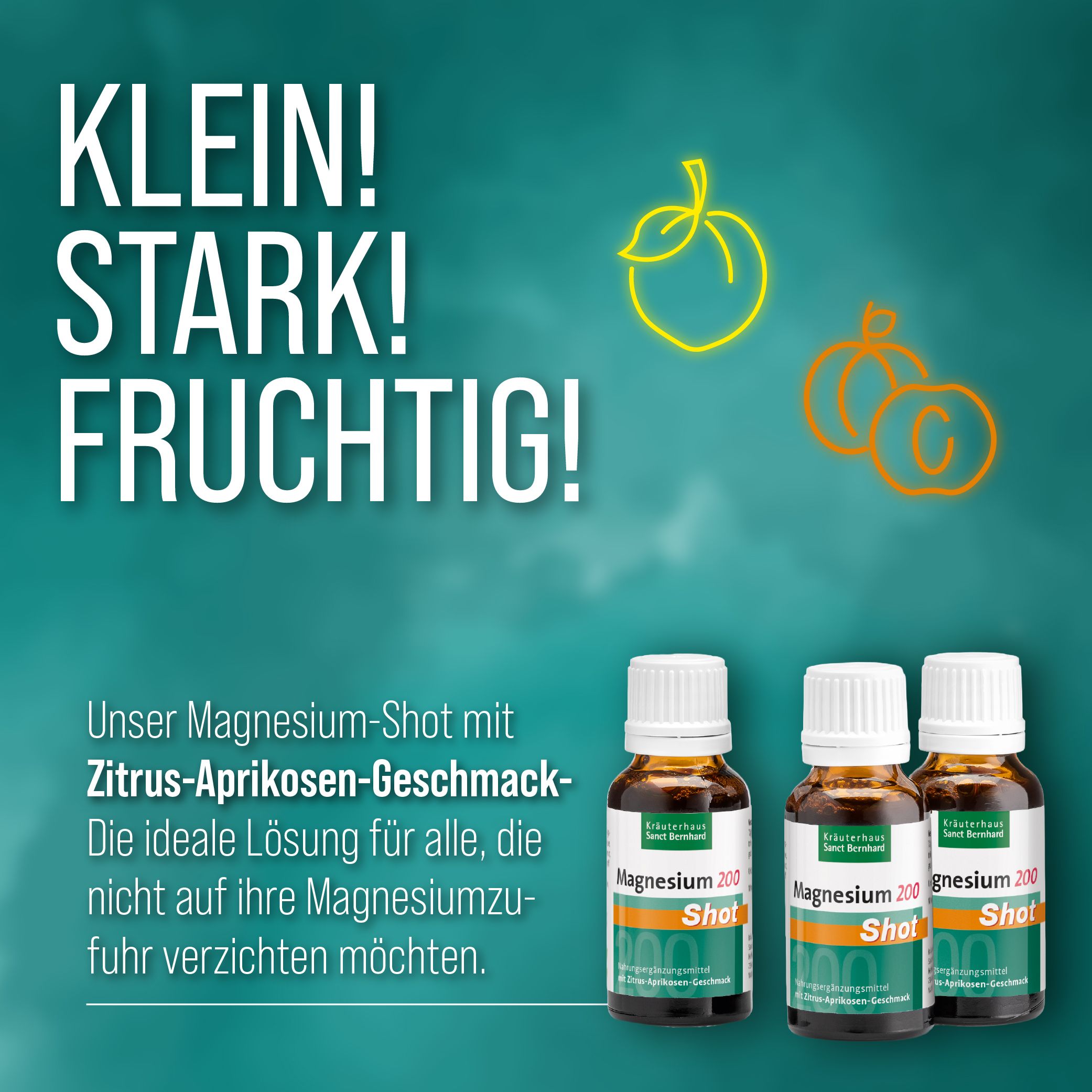 Sanct Bernhard Magnesium-Shot 200
