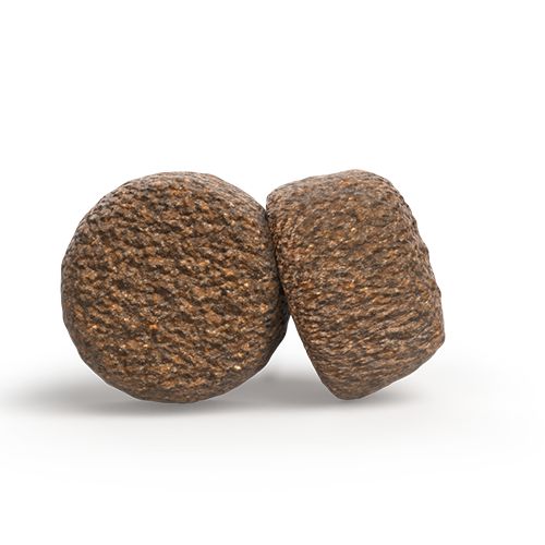 Zwei runde, braune Kroketten. Strukturierte Oberfläche. Auf weißem Hintergrund.