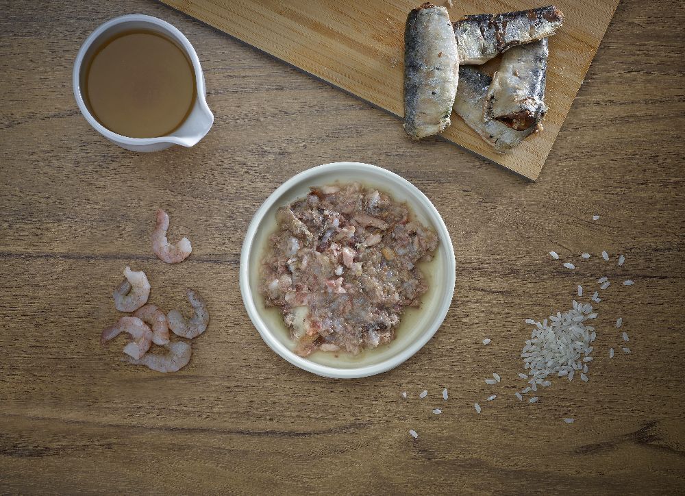 Teller mit Futter, Sardinen, Garnelen und Reis auf Holz. Schale mit Flüssigkeit. Draufsicht.