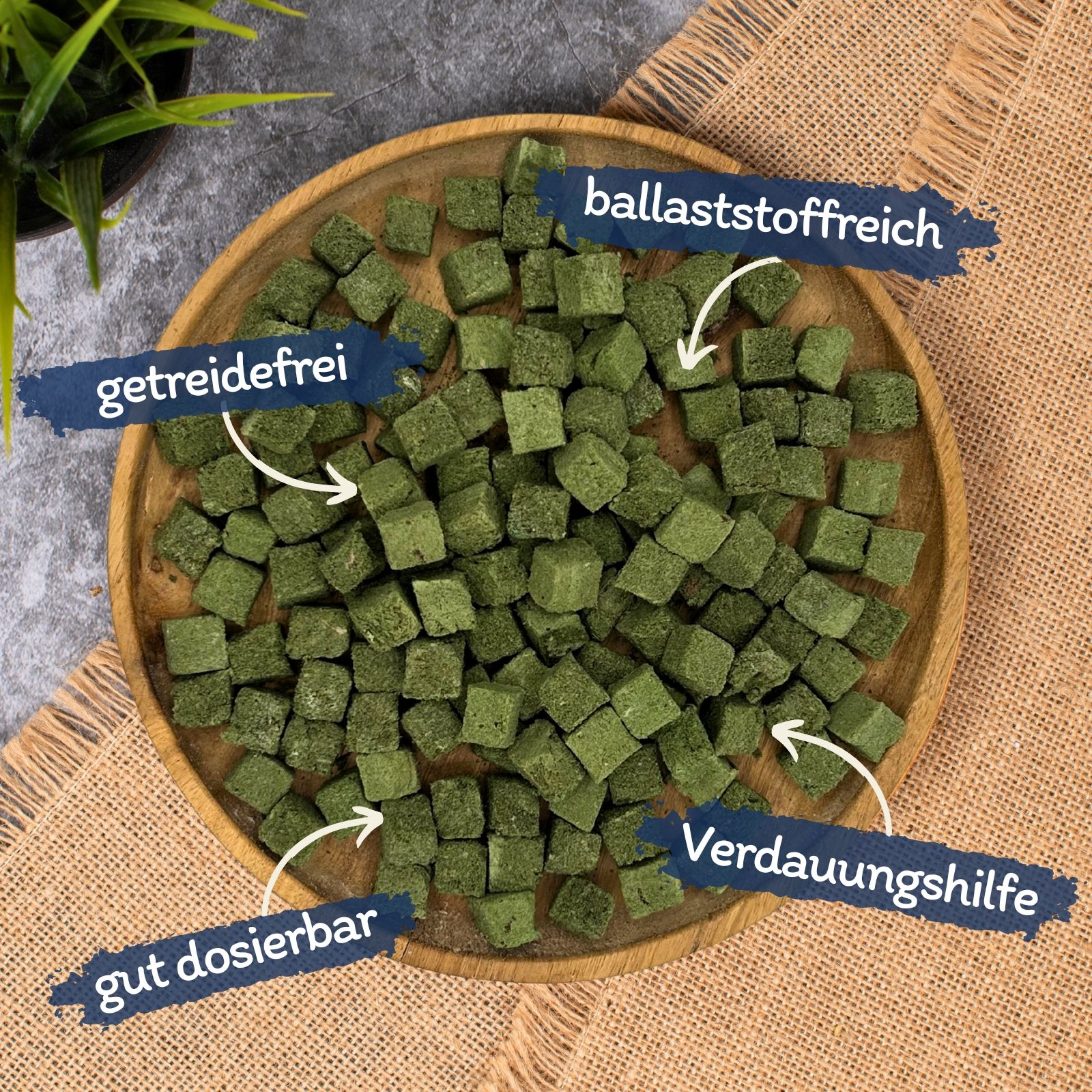 Lyra Pet® Katzengraswürfel gefriergetr.