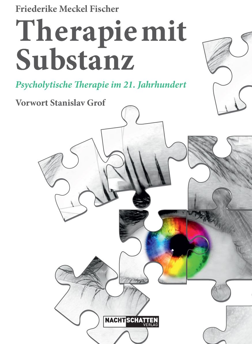 Buchcover: Titel 'Therapie mit Substanz'. Autorin: Friederike Meckel Fischer. Verlag: Nachtschatten Verlag. Puzzle-Design mit Auge.