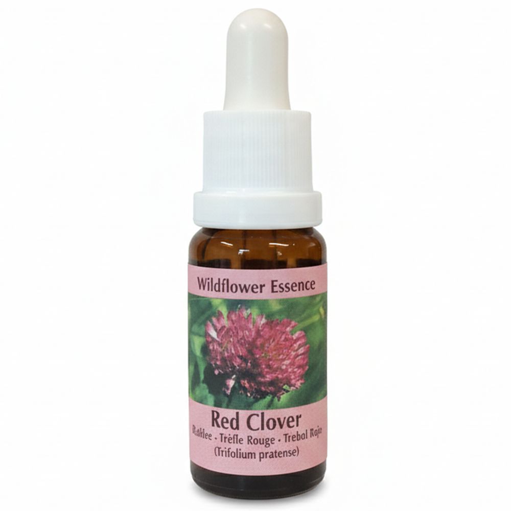 Braune Glasflasche mit weißem Tropfer. Etikett mit roter Blüte und Text: Red Clover, Wildflower Essence.